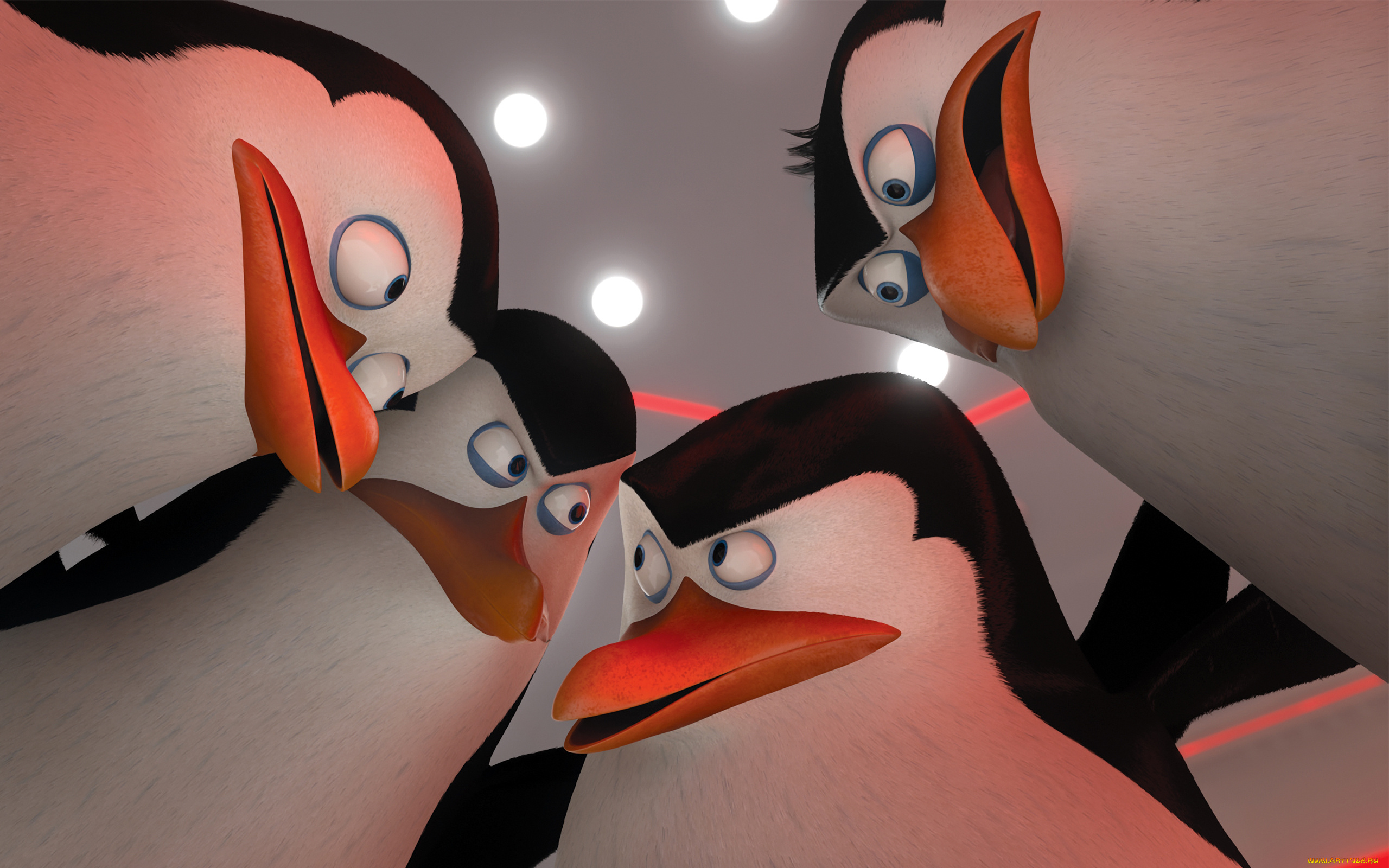 мультфильмы, the, penguins, of, madagascar, пингвины, клюв, глаза