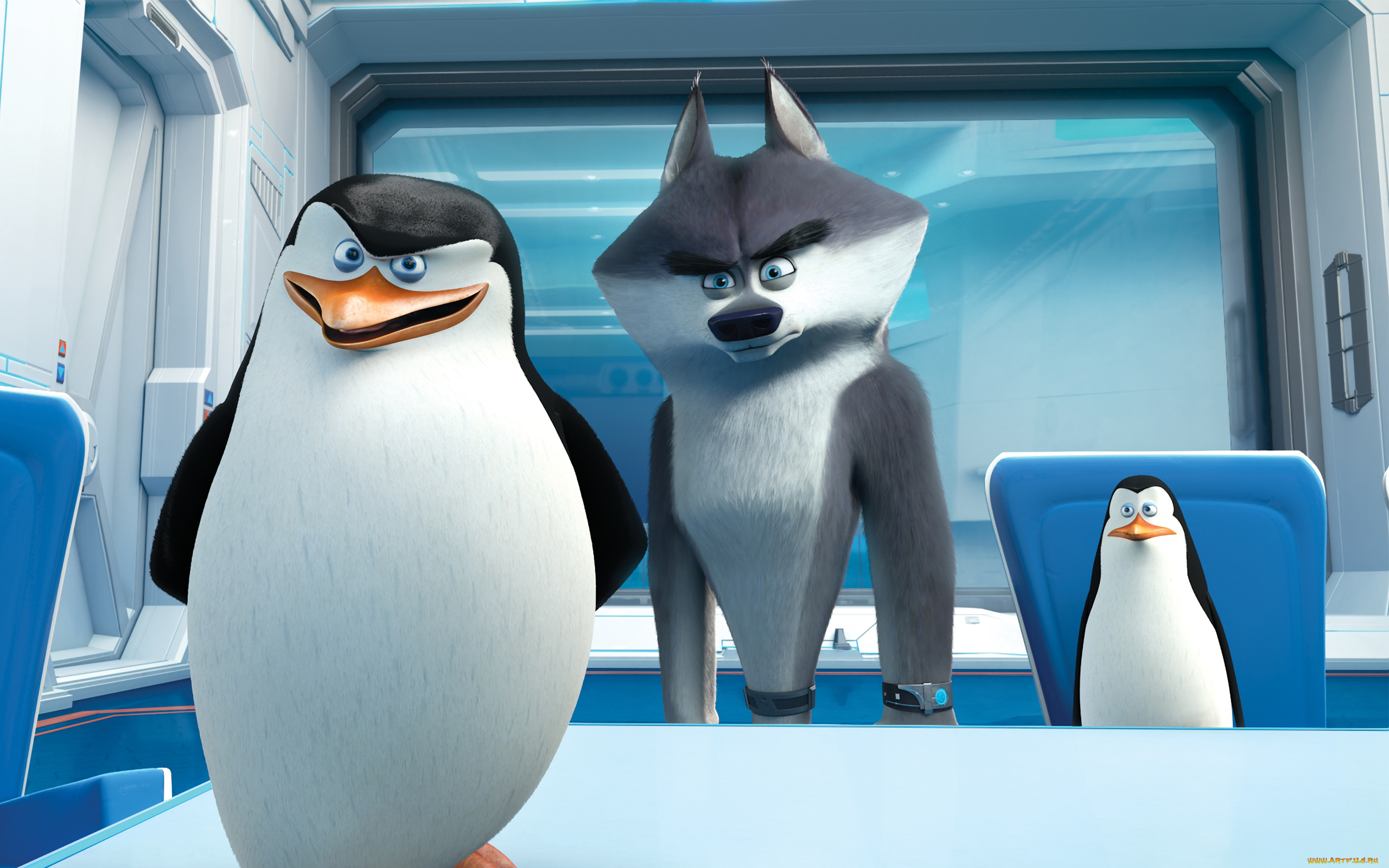 мультфильмы, the, penguins, of, madagascar, пингвины, клюв, глаза