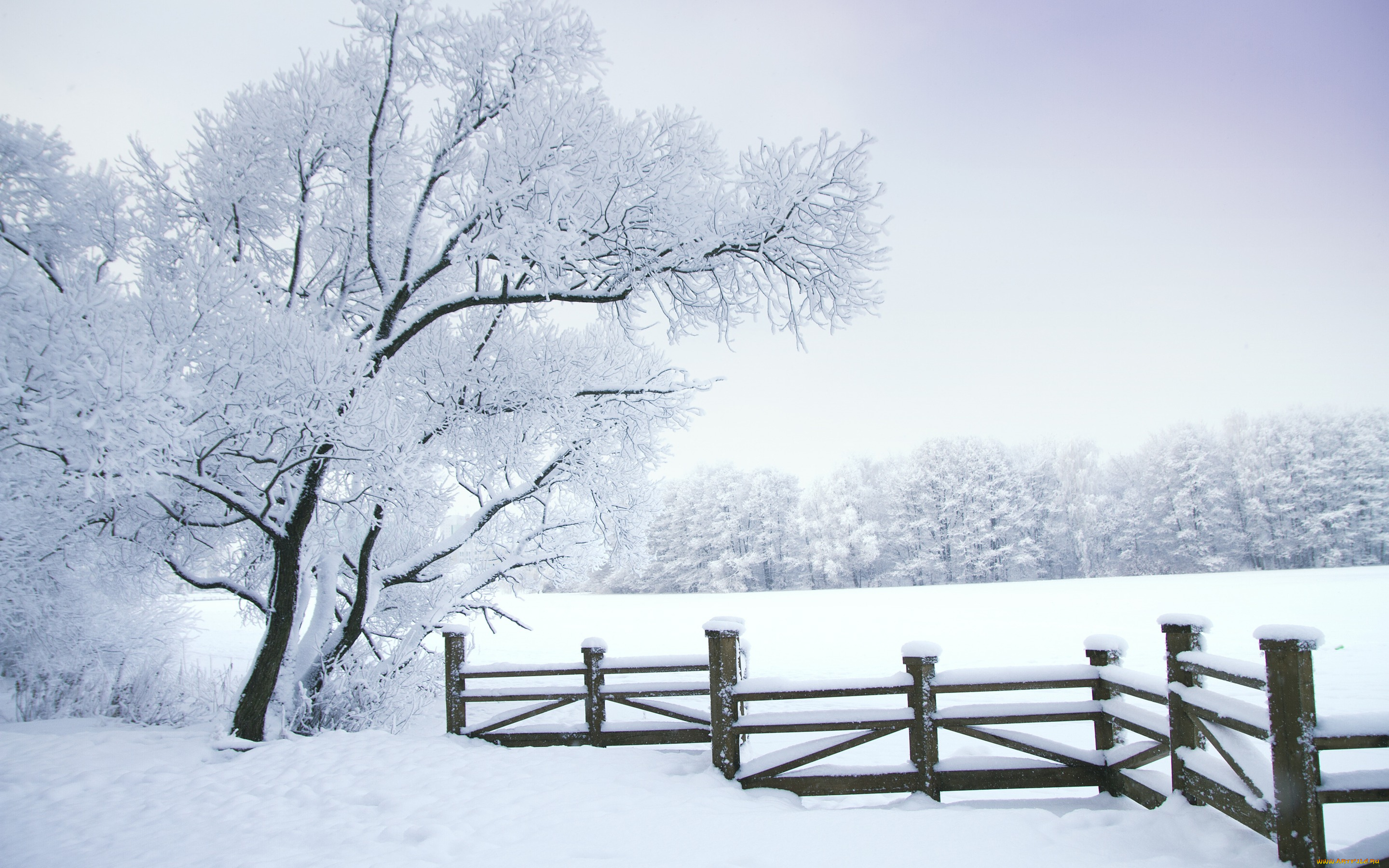 природа, зима, снег, деревья, пейзаж