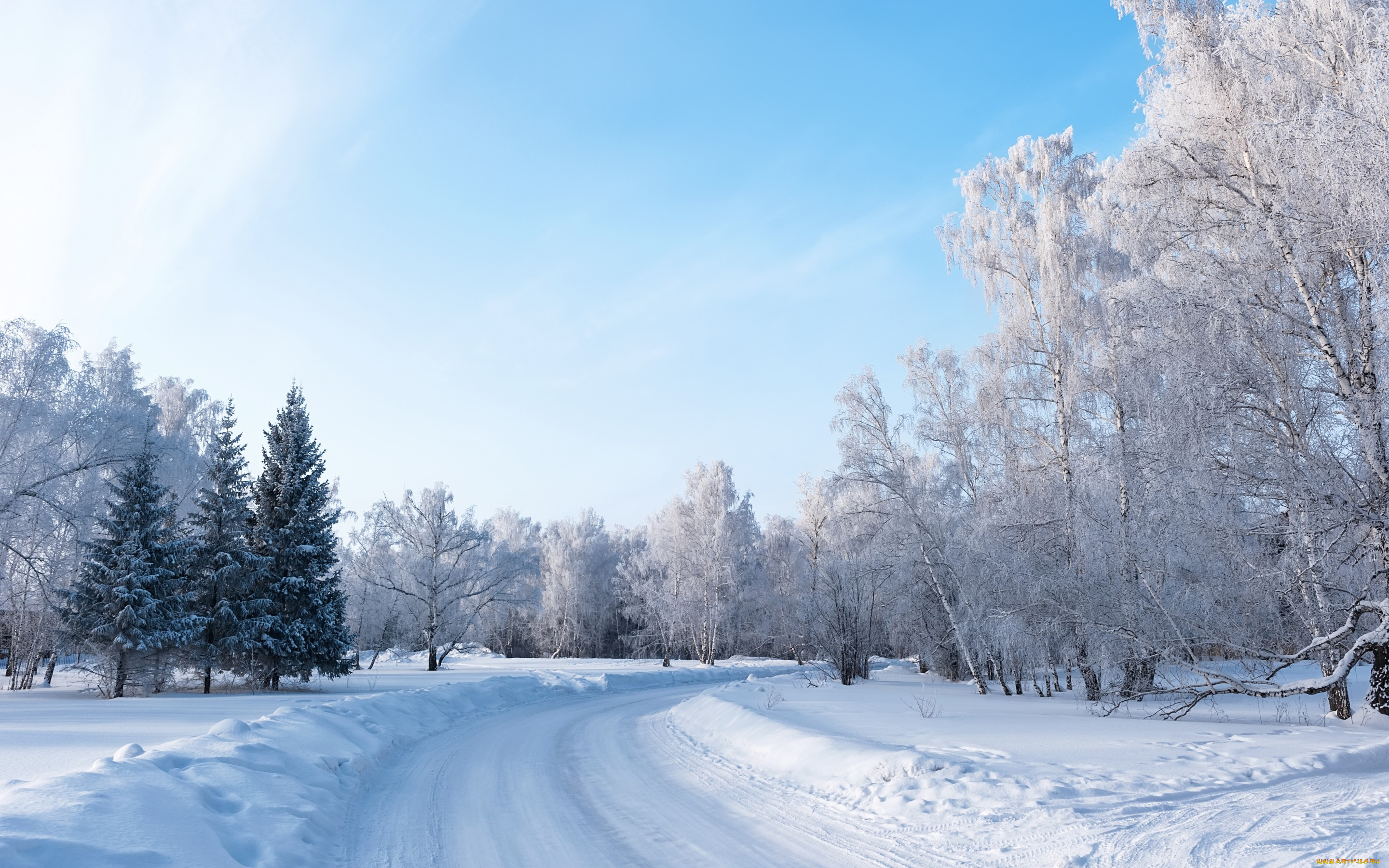 природа, зима, снег, деревья, пейзаж, дорога