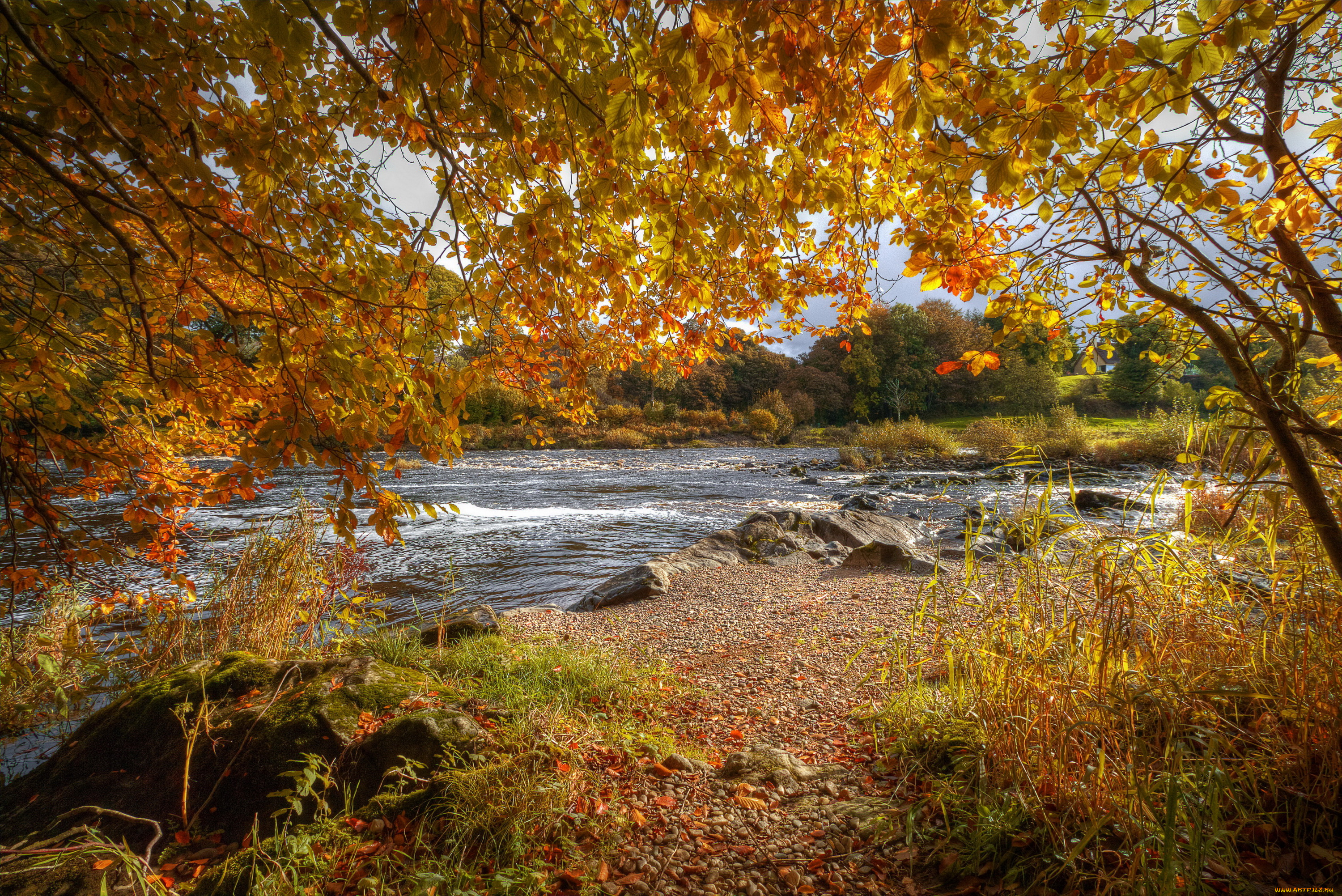 природа, реки, озера, деревья, река, осень, пейзаж, листья