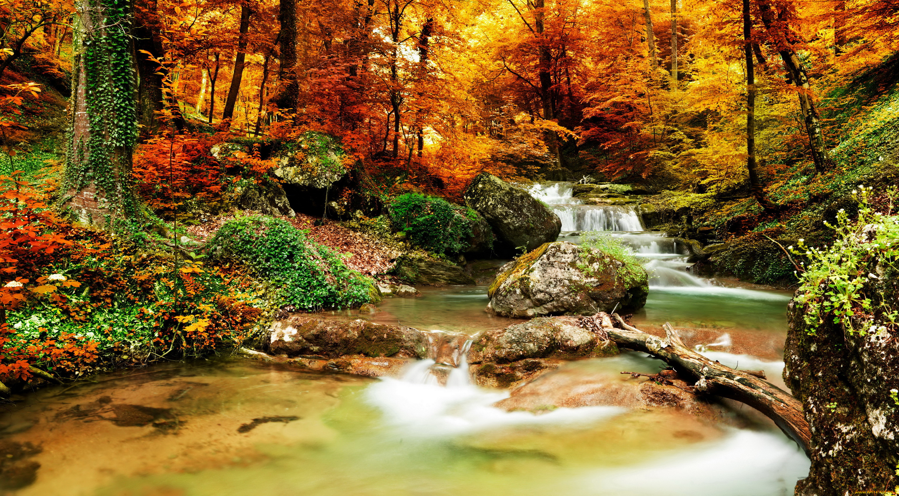 природа, водопады, листья, водопад, осень, лес, деревья