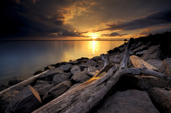 Картинка природа восходы закаты небо коряга озеро закат камни берег тучи