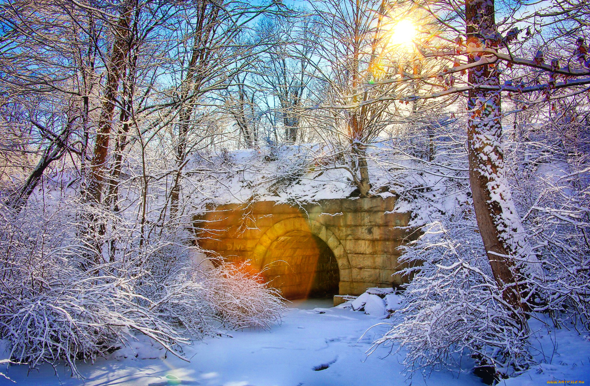 природа, лес, снег, мост