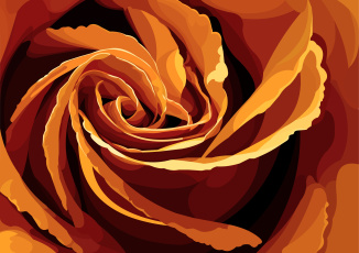 Картинка векторная+графика цветы+ flowers роза фон лепестки