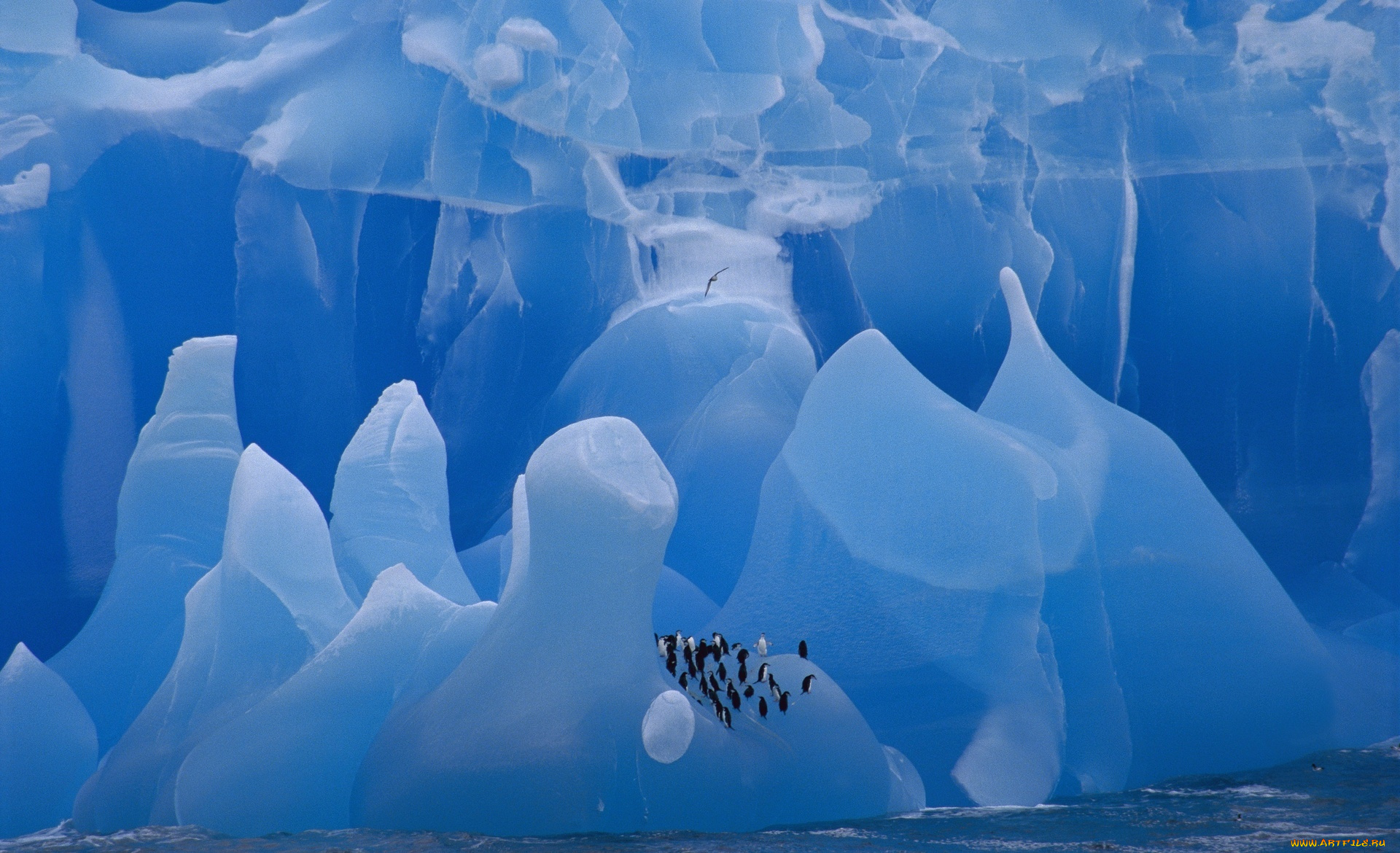 Atka Bay, Weddell Sea, Antarctica загрузить
