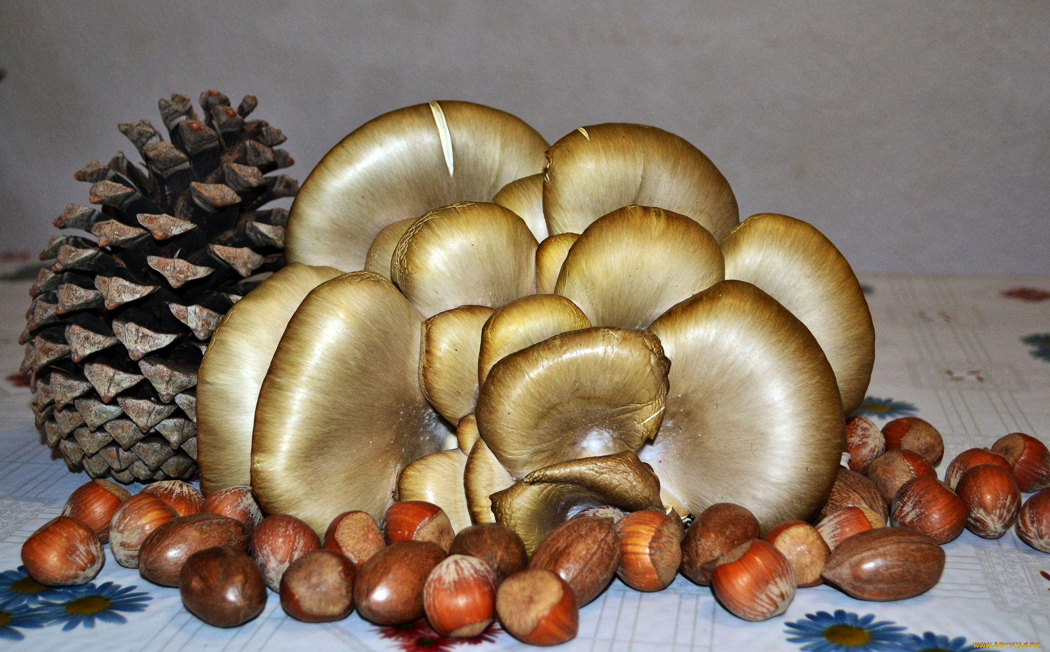 кедровые орехи с грибами загрузить
