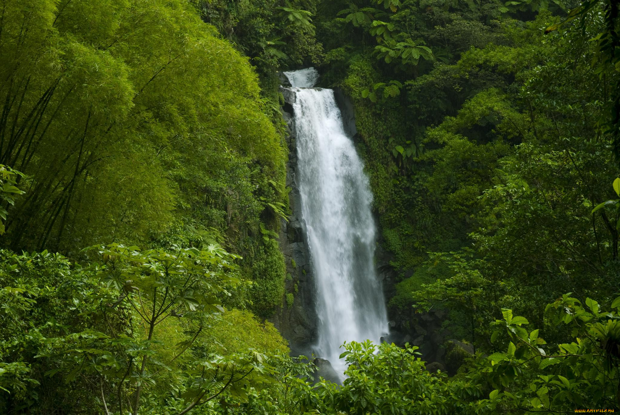 водопад, природа, водопады, амазонка, джунгли