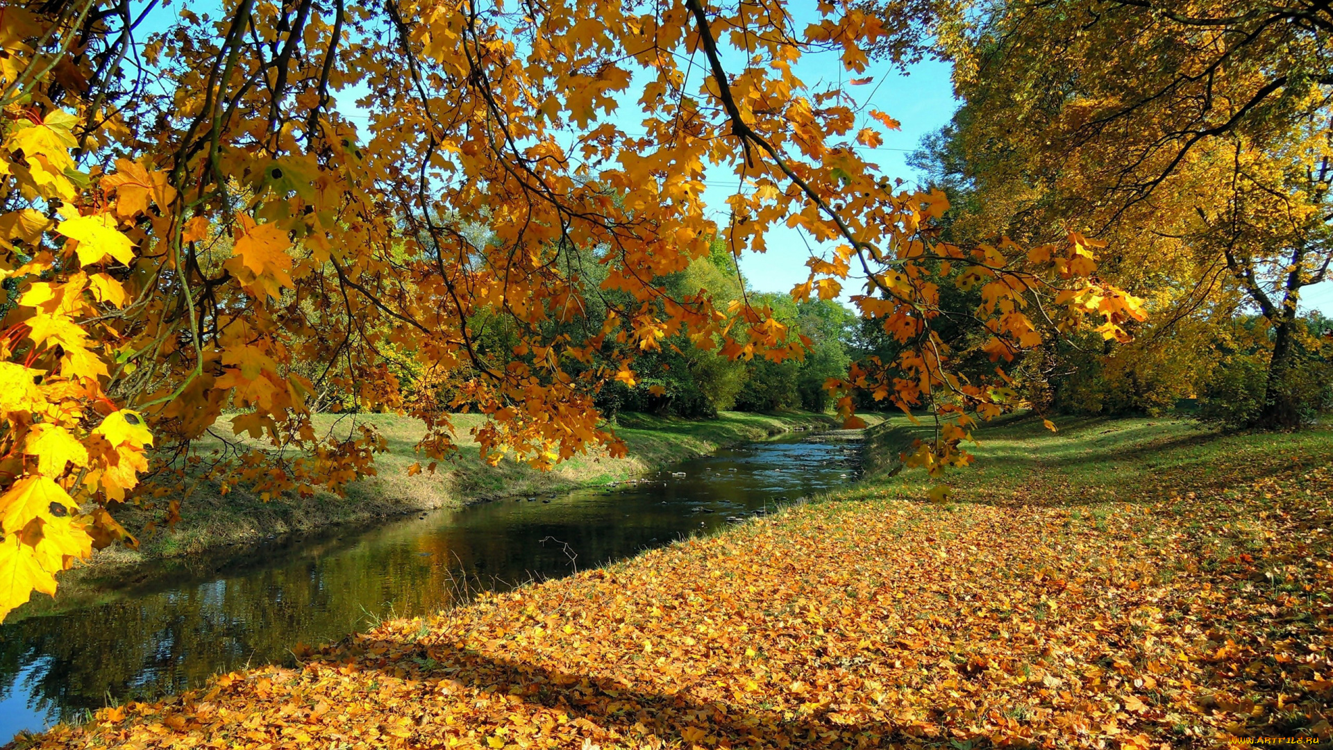 природа, реки, озера, осень, листья, река, листопад