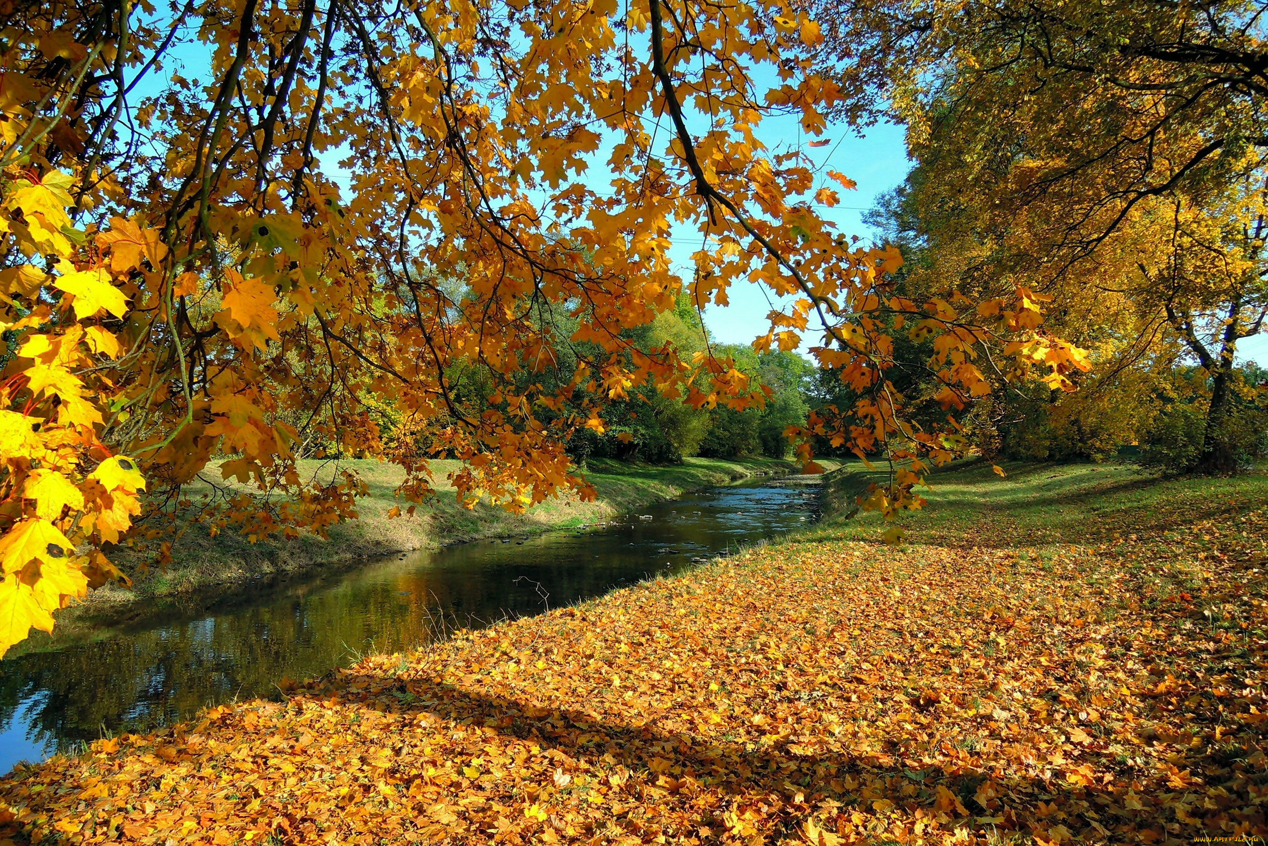 природа, реки, озера, осень, листья, река, листопад
