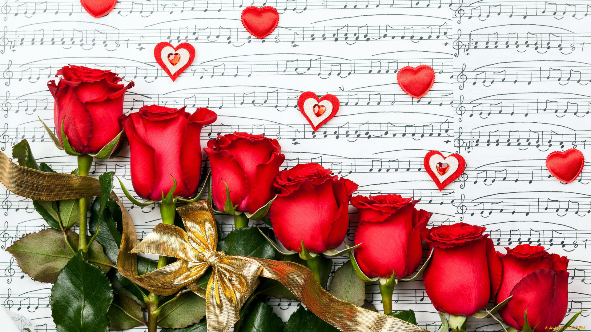 цветы, розы, ноты, сердечки, лента