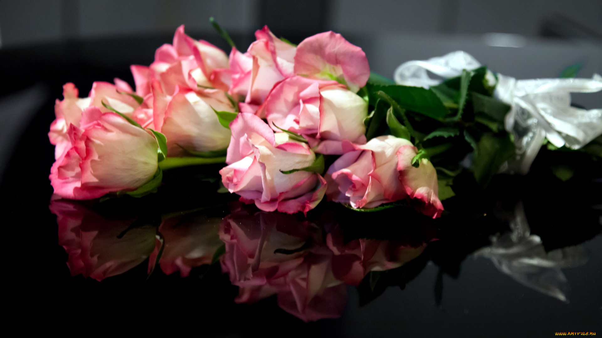 цветы, розы, отражение