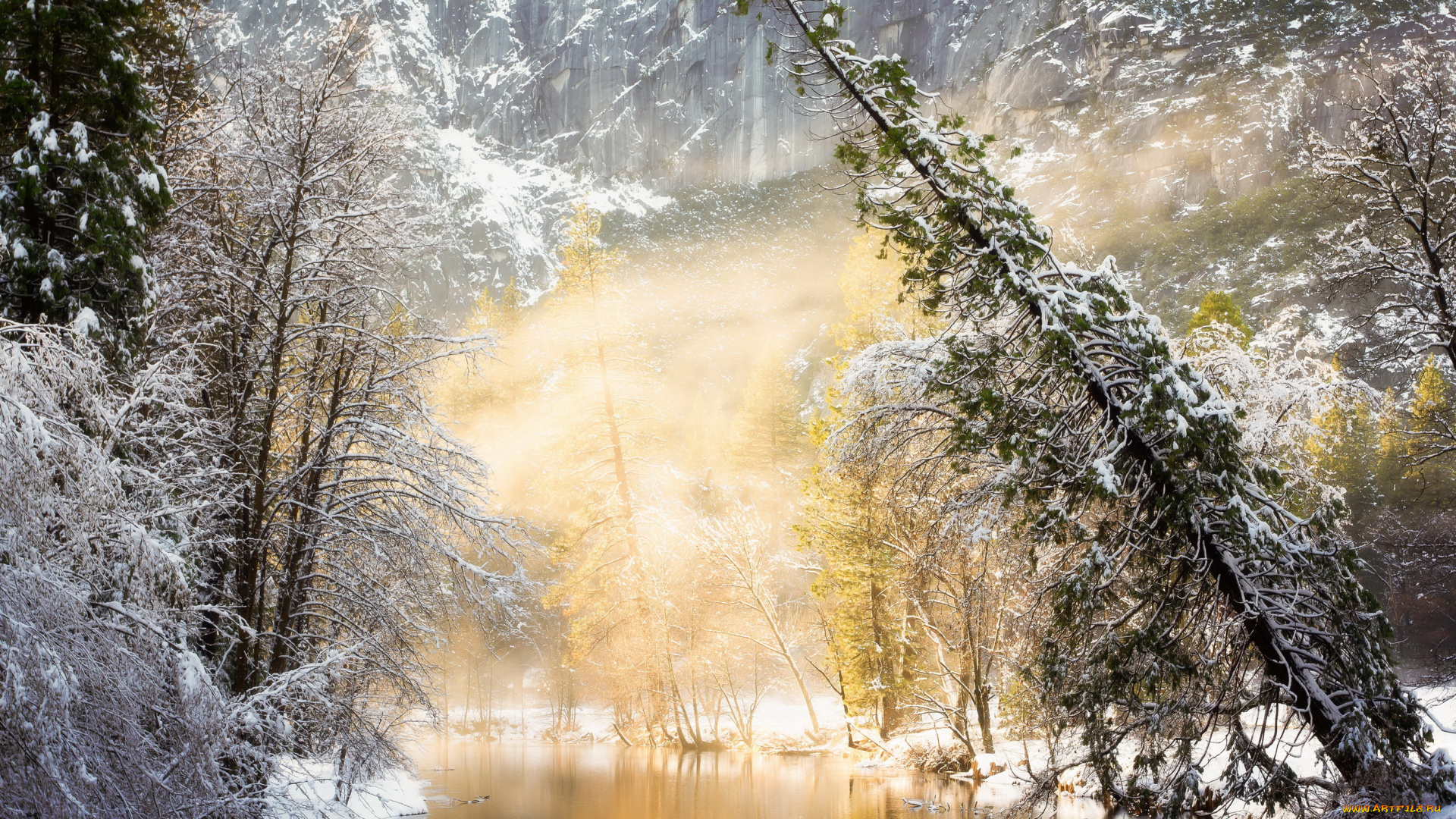 природа, зима, лес, река, солнце