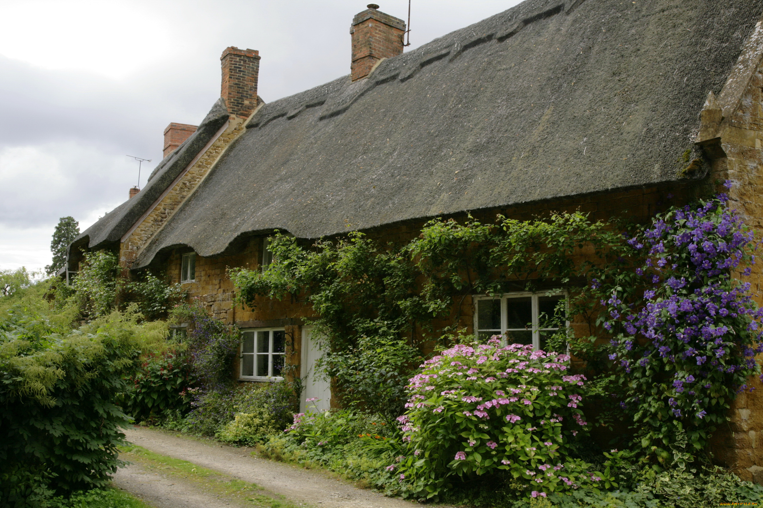 города, -, здания, , дома, дом, улица, растения, england, balscote