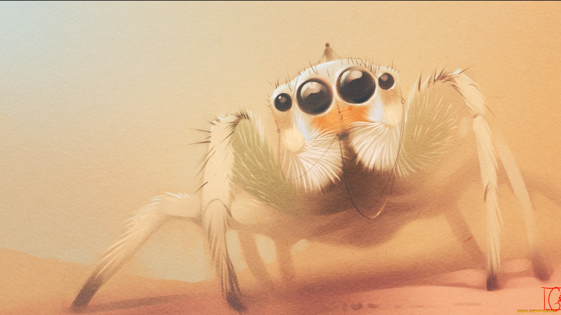 gaudibuendia, рисованное, животные, , насекомые, рисунок, паук, наездник, лапки, глаза