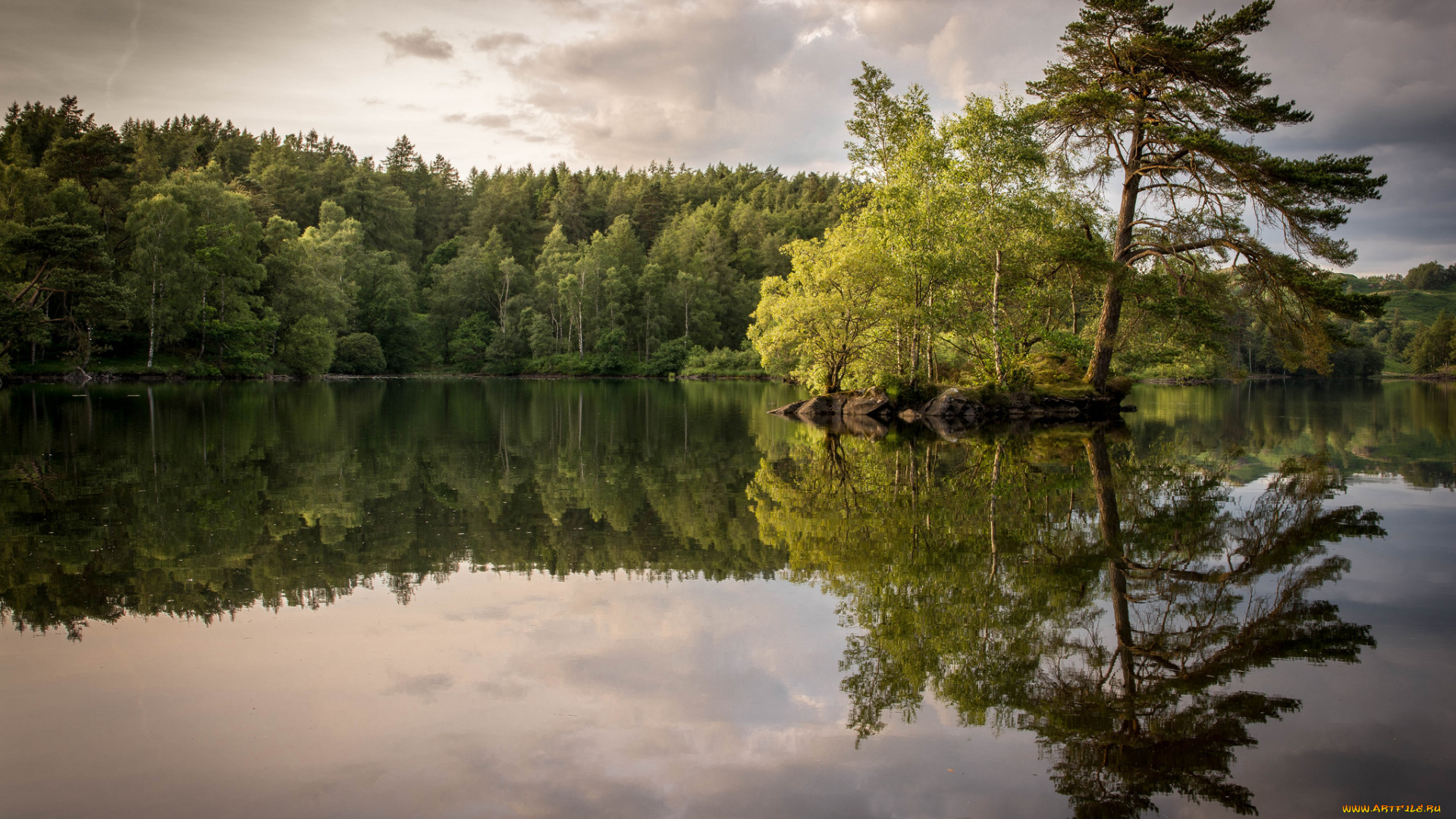 природа, реки, озера, река, островок, ле