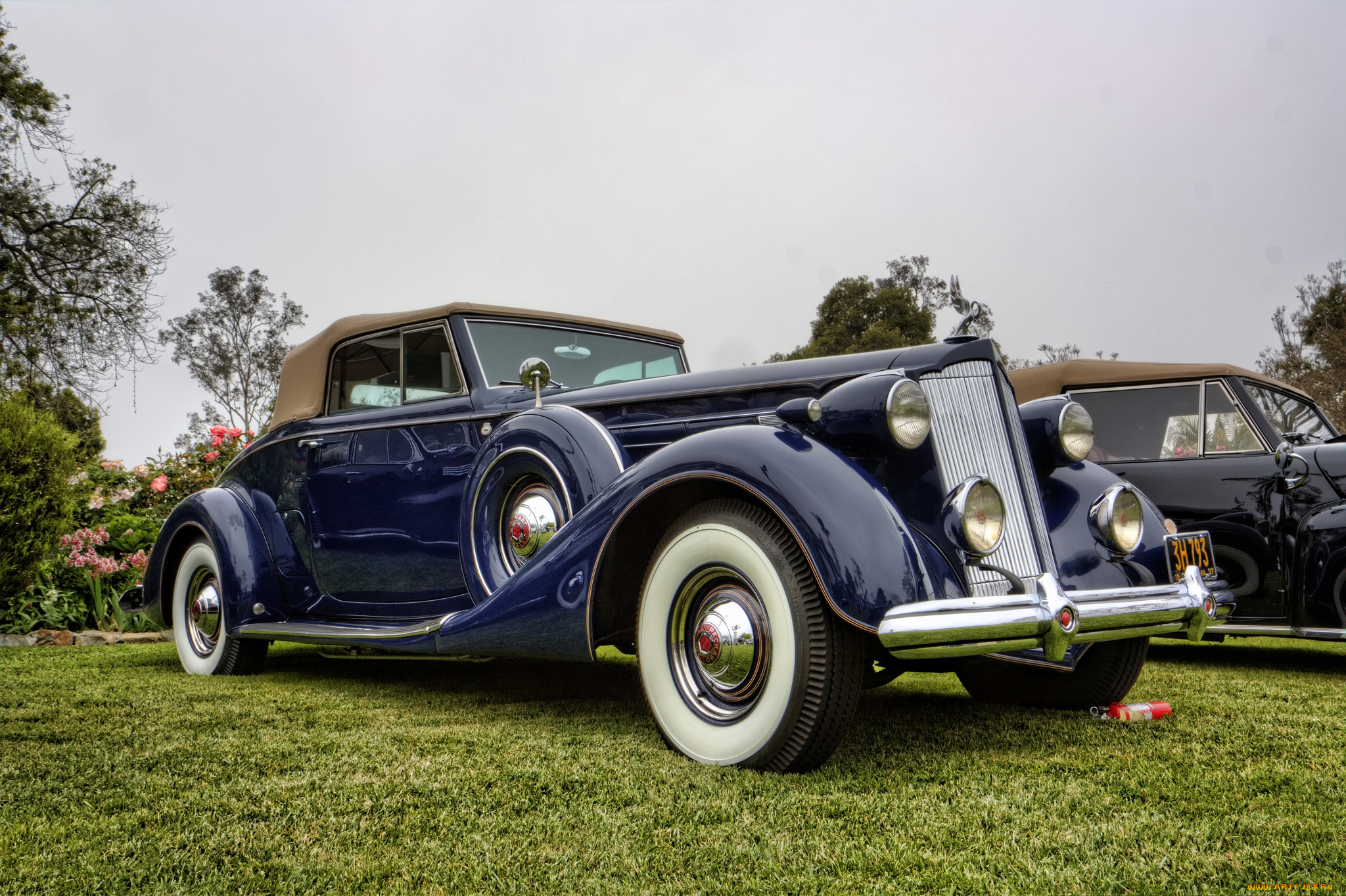 1937, packard, twelve, 1507, coupe, roadster, автомобили, выставки, и, уличные, фото, автошоу, выставка