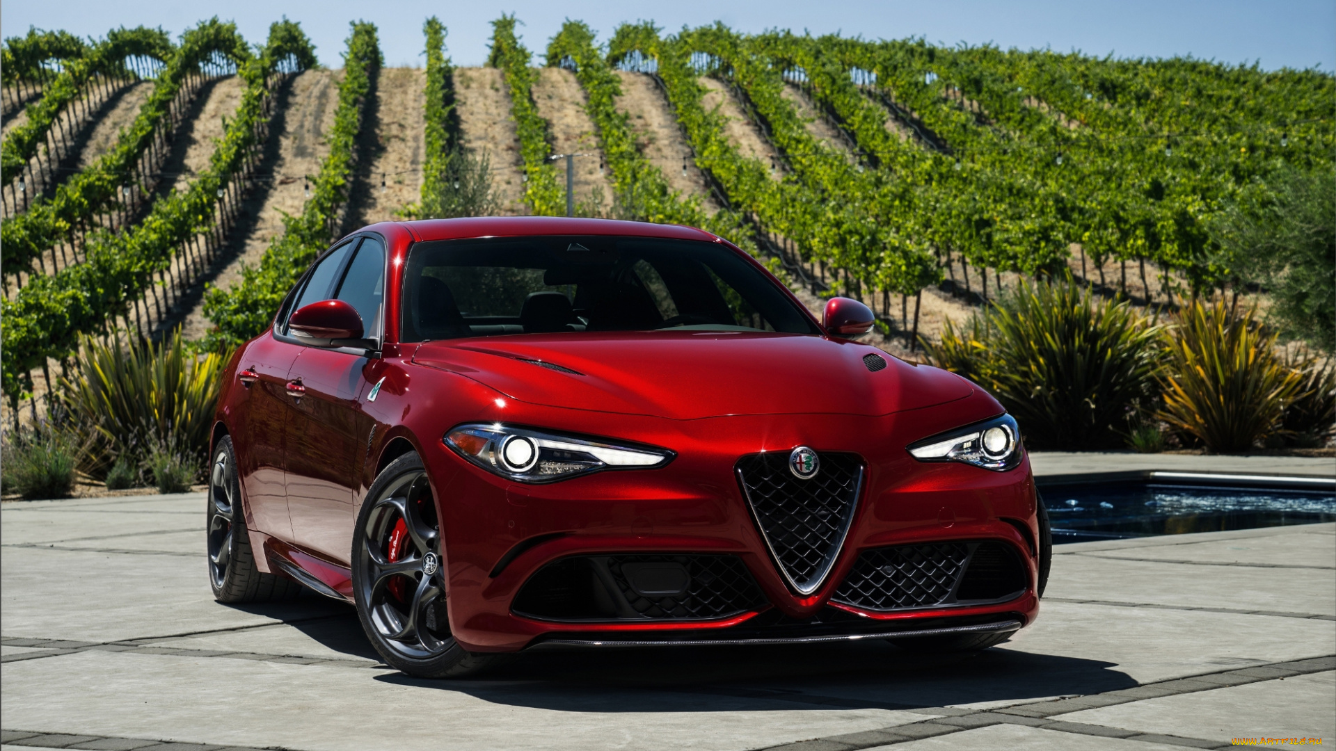 автомобили, alfa, romeo, виноградник, красный, giulia, alfa-romeo