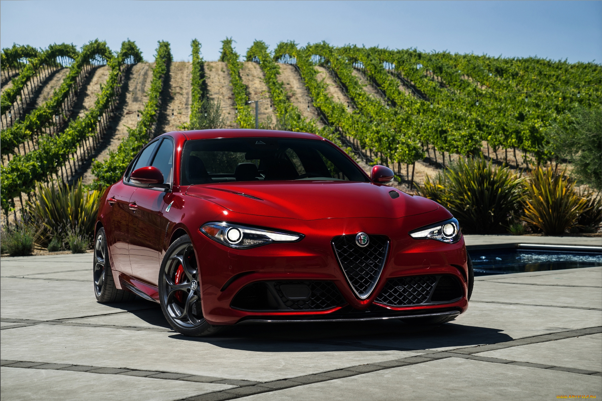 автомобили, alfa, romeo, виноградник, красный, giulia, alfa-romeo