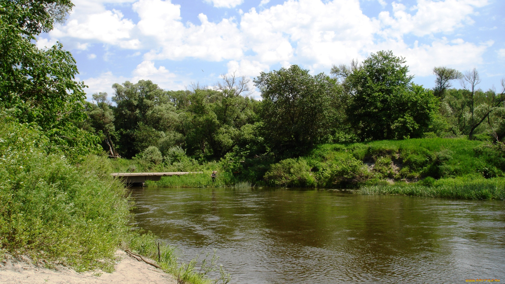 лес, природа, пейзажи, вода, деревья