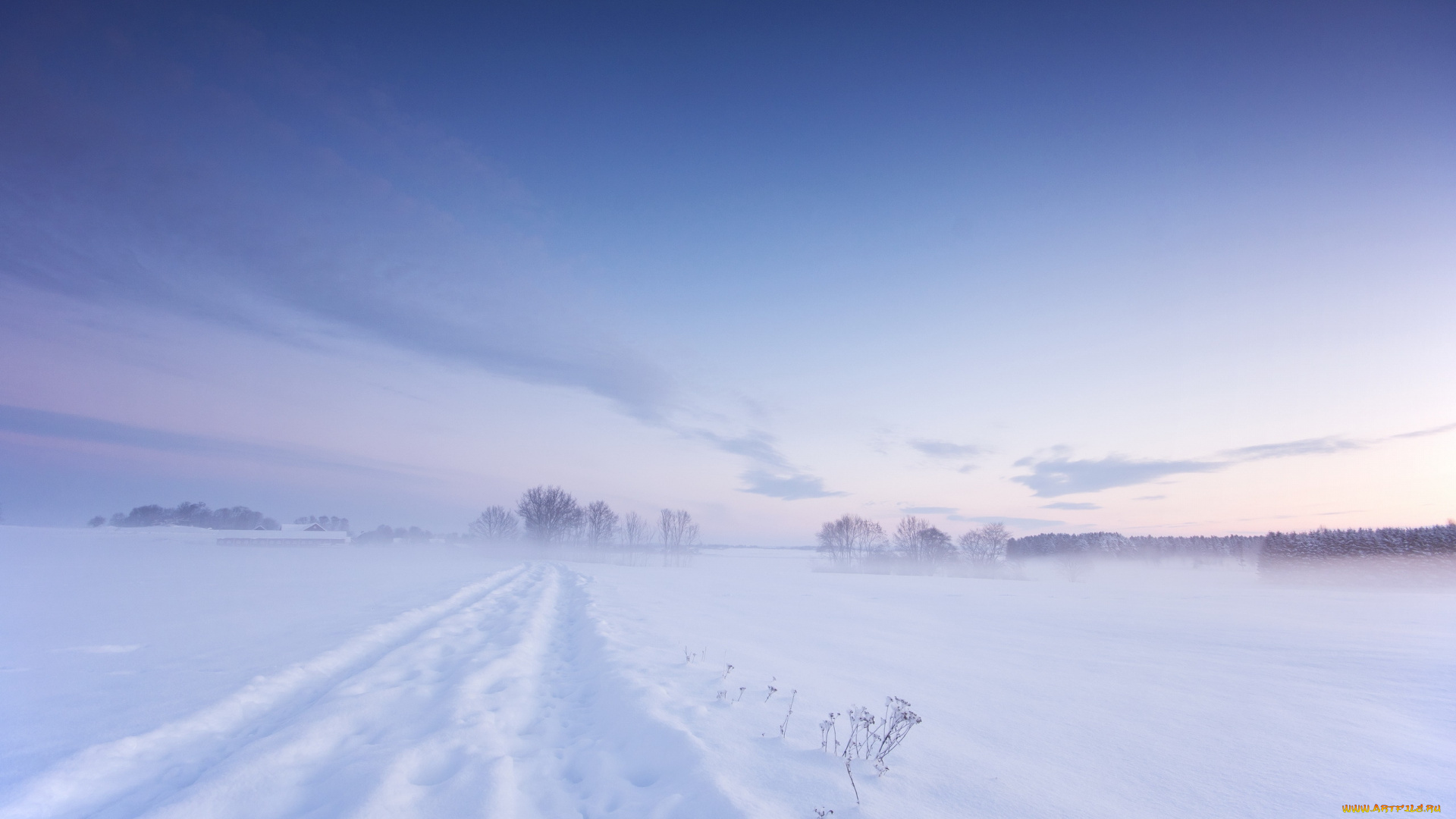 природа, зима, дорога, снег