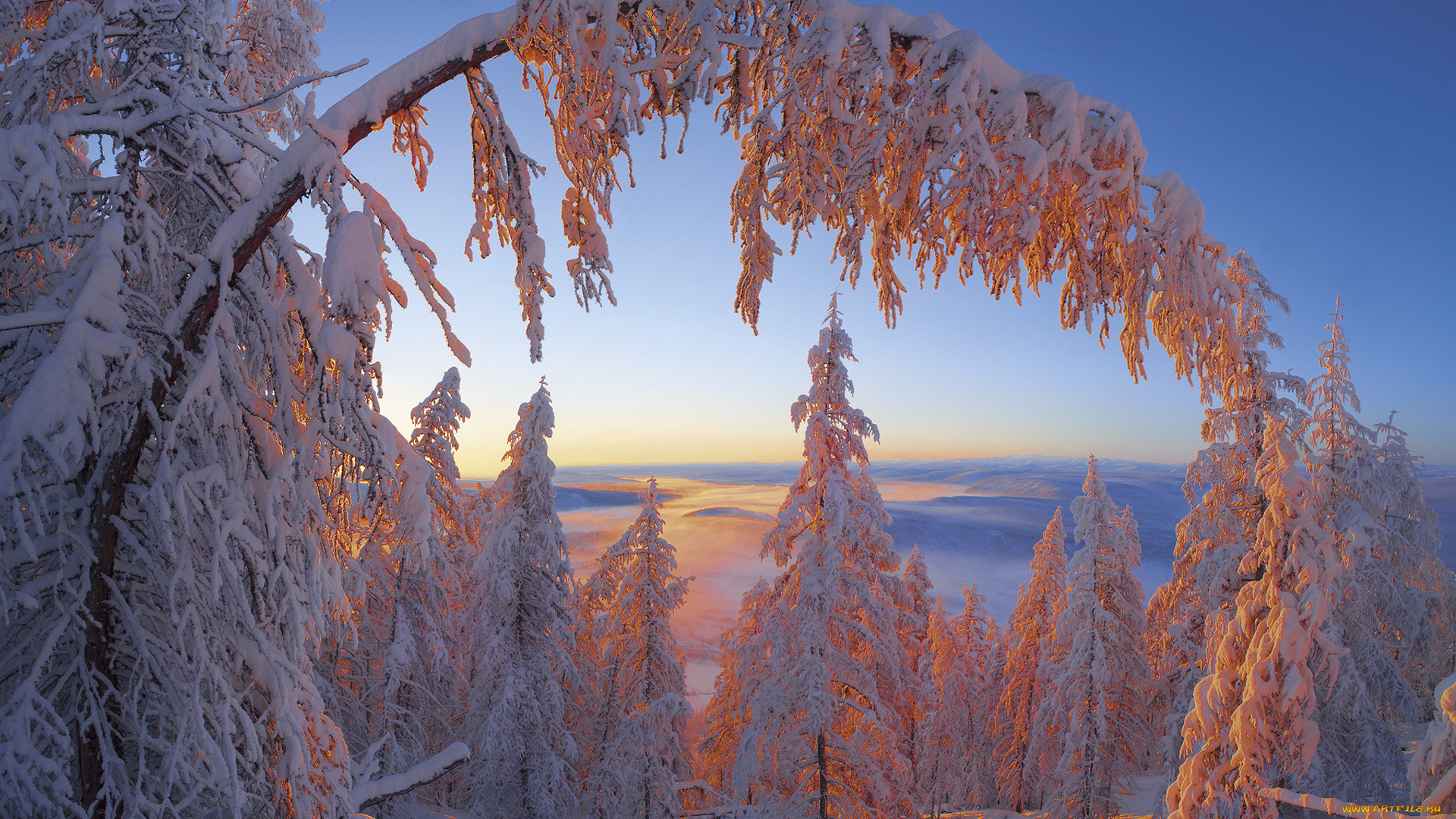 природа, зима, владимир, рябков, снега, мороз, деревья, ели, пейзаж, Якутия
