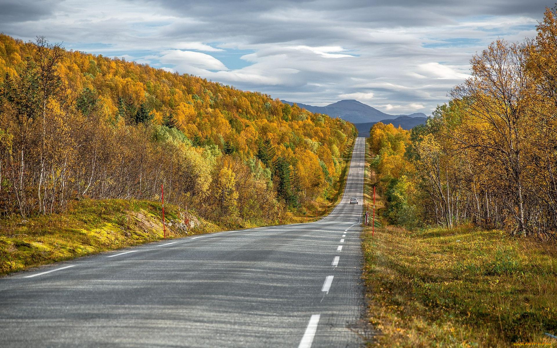 природа, дороги, горы, дорога, norway, осень, senja