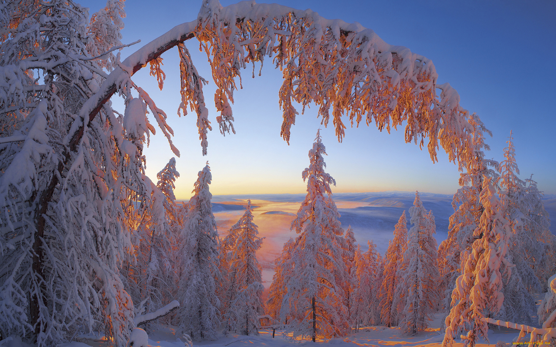 природа, зима, владимир, рябков, снега, мороз, деревья, ели, пейзаж, Якутия