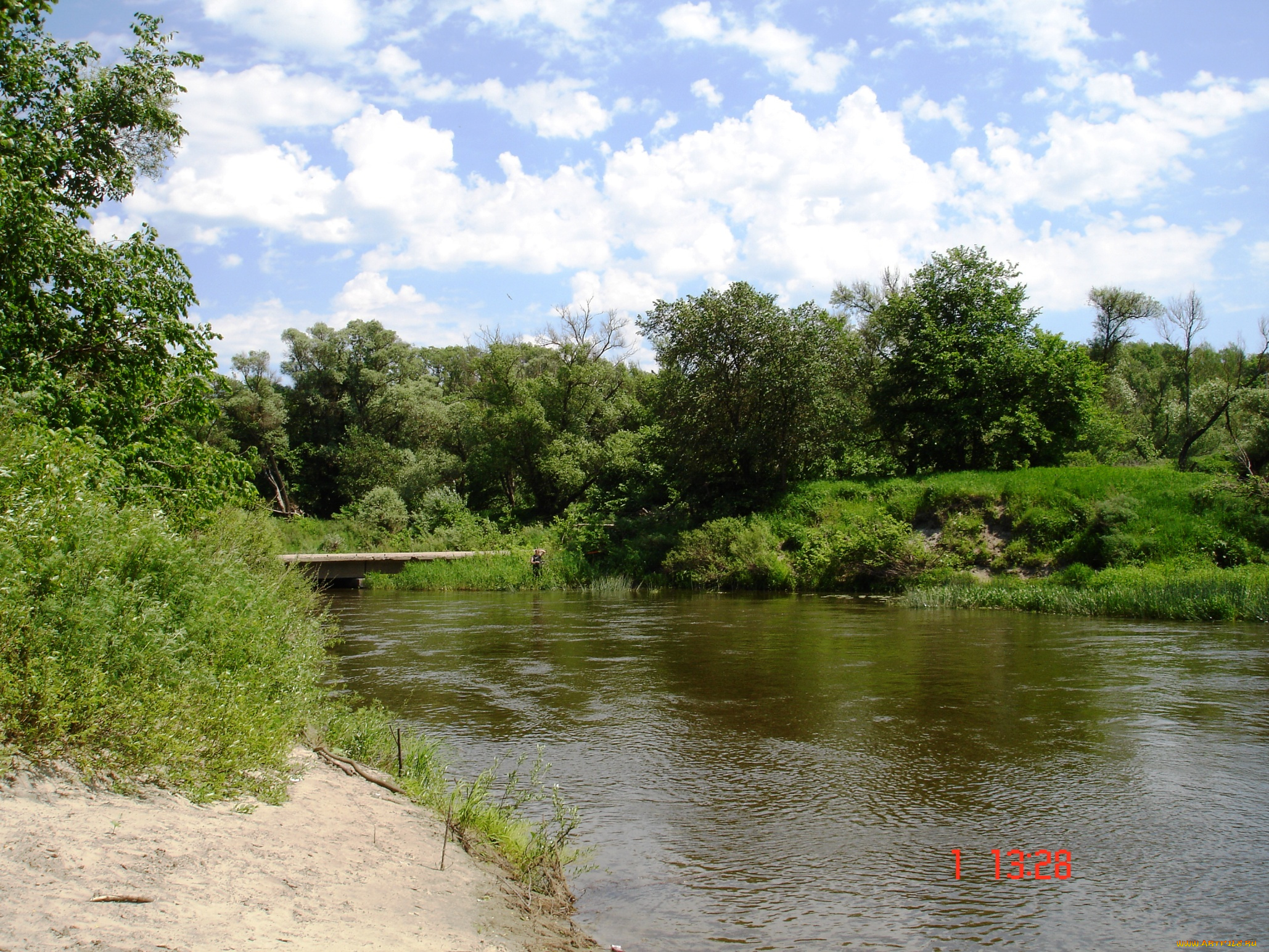 лес, природа, пейзажи, вода, деревья