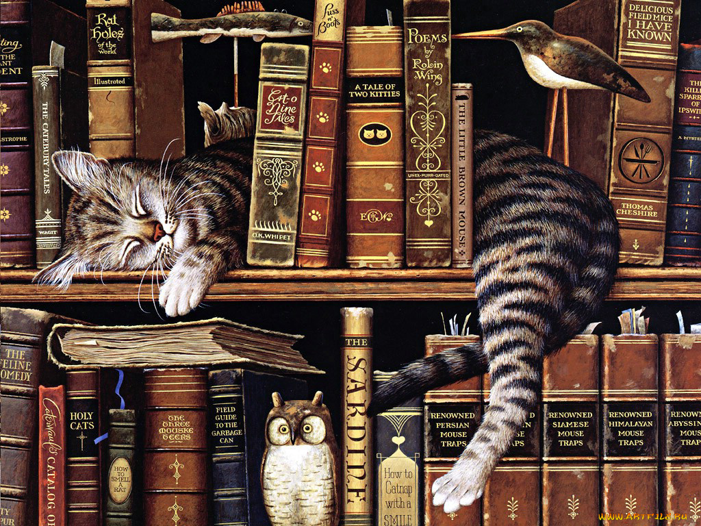 рисованные, животные, книги, птица, сова, кот