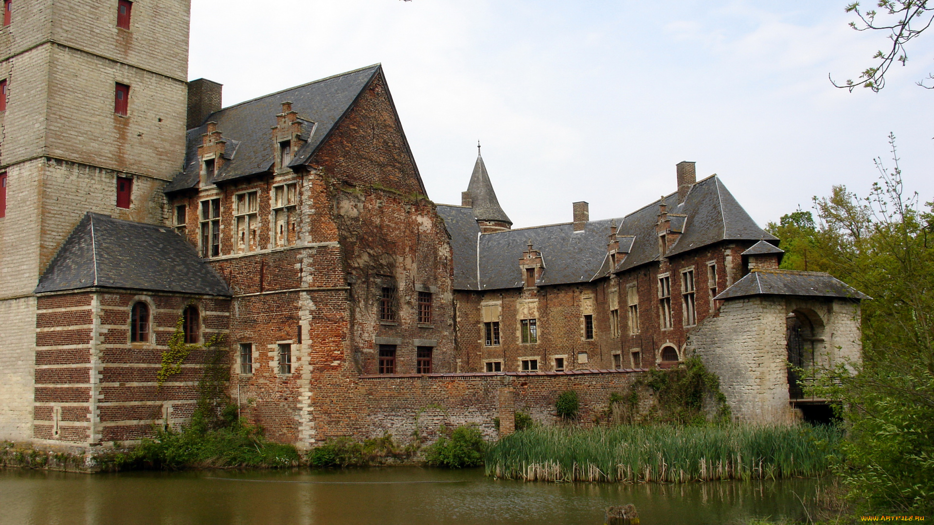 kasteel, van, horst, belgium, города, дворцы, замки, крепости, водоем, камыши, замок, старина