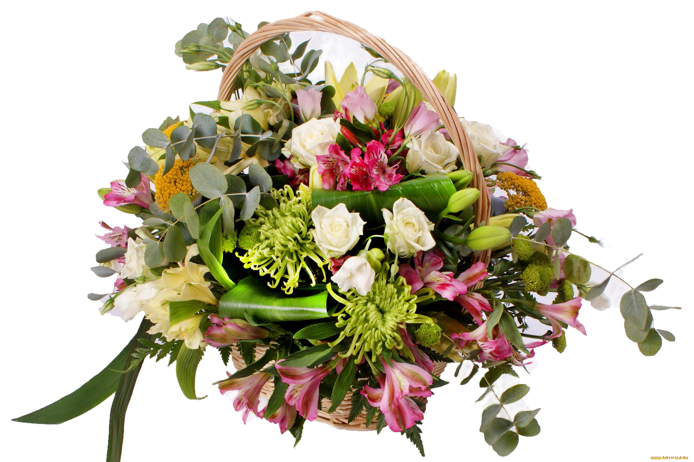 цветы, букеты, композиции, корзинка, розы, хризантемы, альстромерия