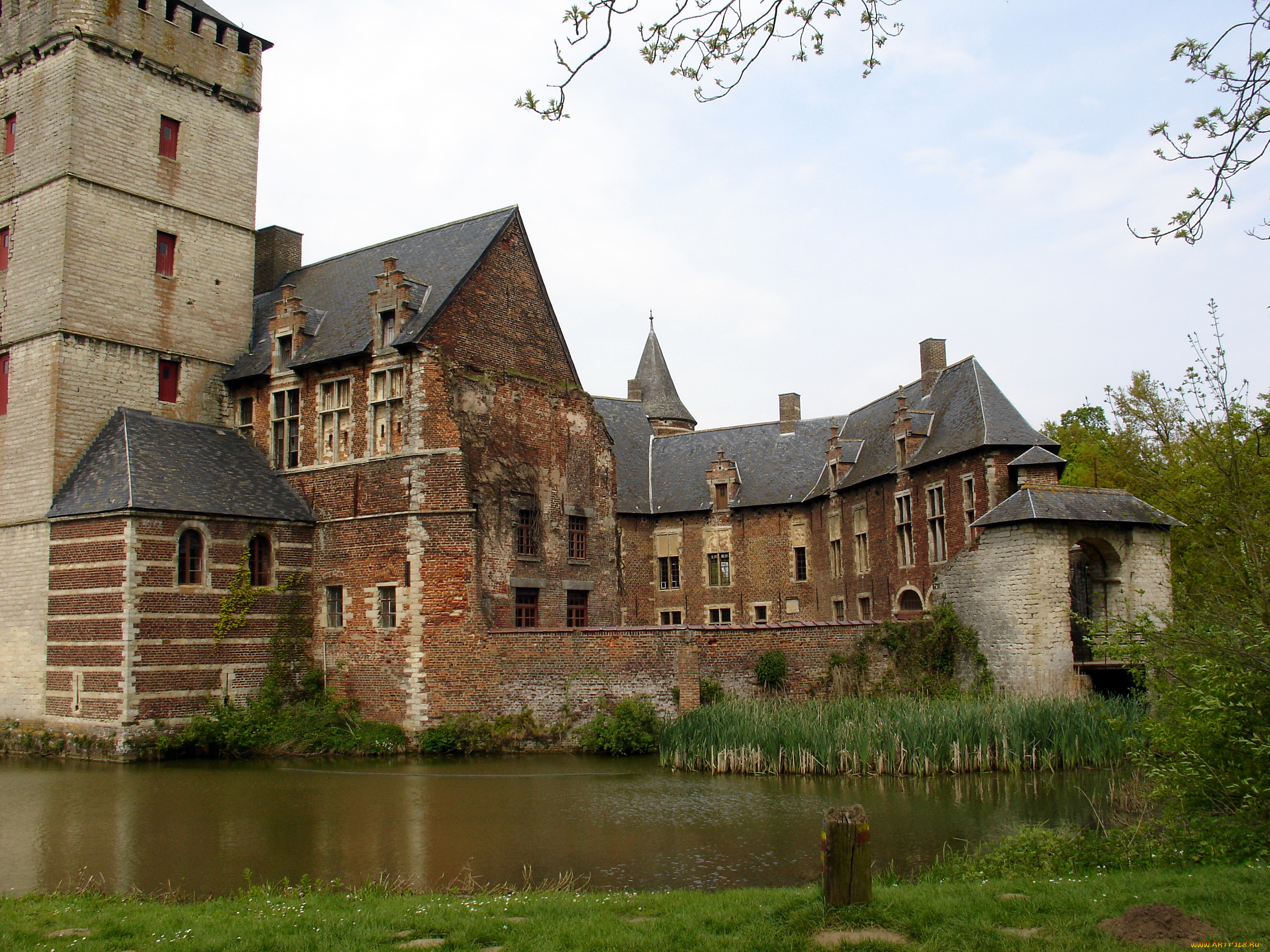 kasteel, van, horst, belgium, города, дворцы, замки, крепости, водоем, камыши, замок, старина