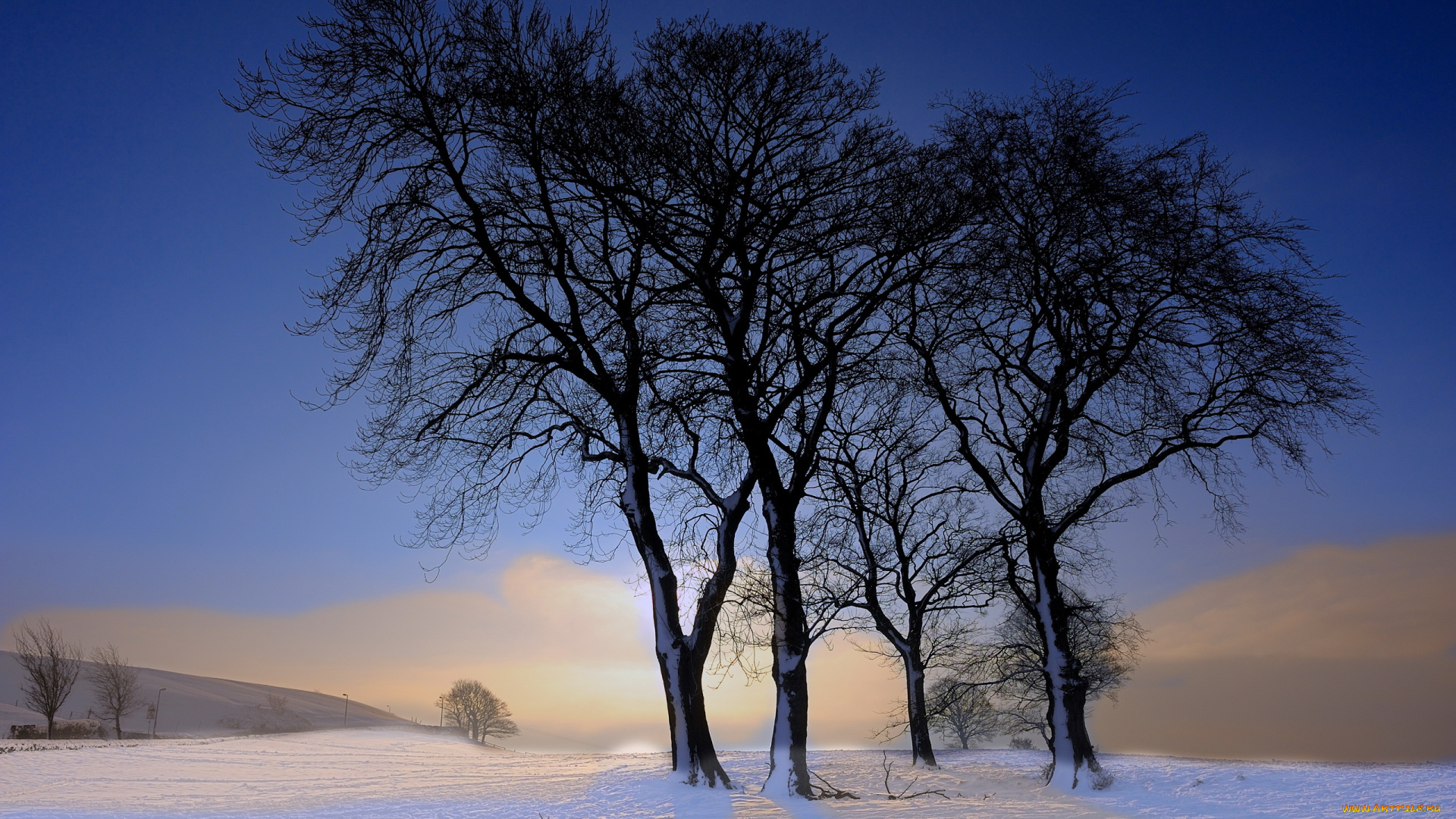 природа, зима, деревья, пейзаж
