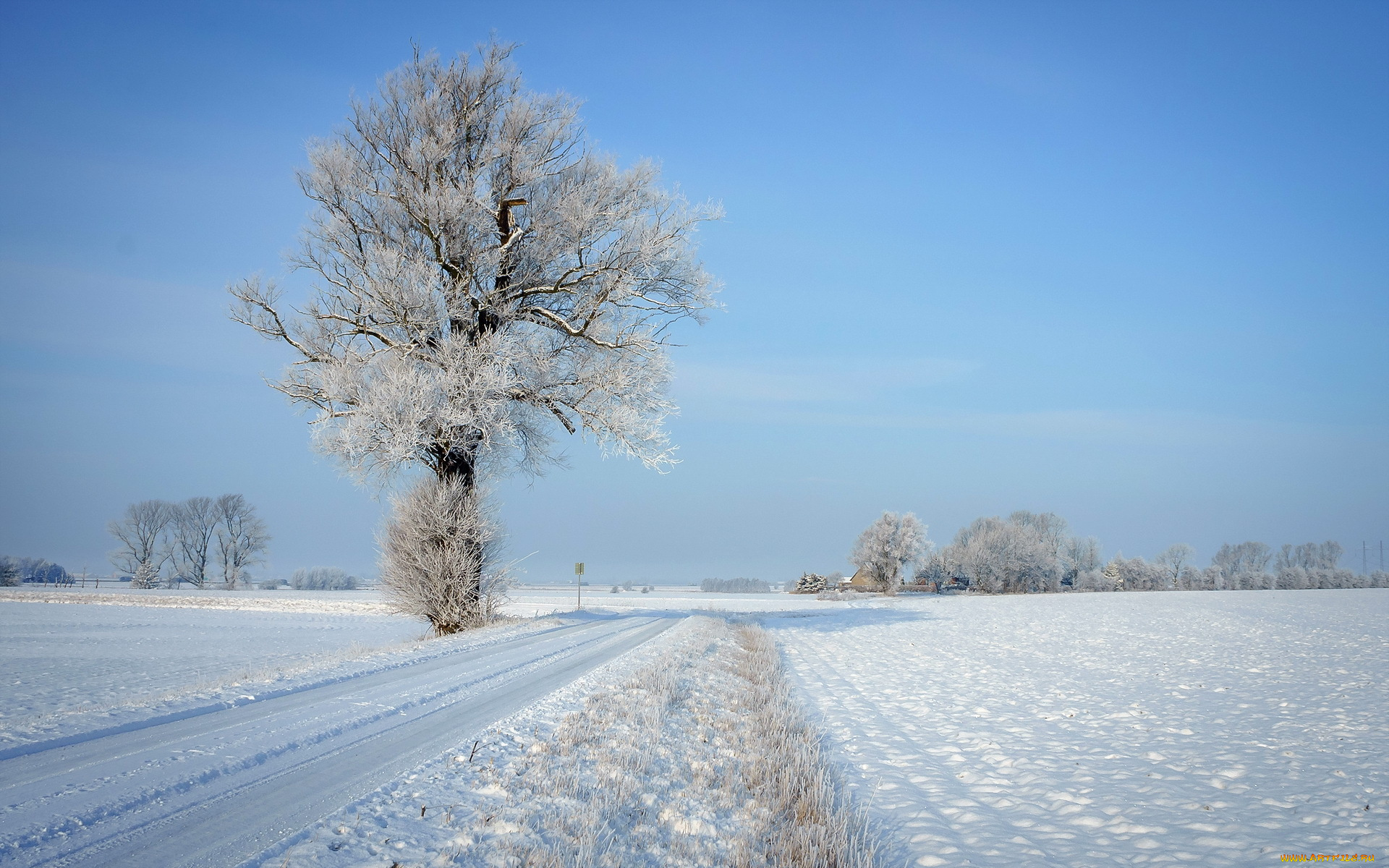 природа, зима, дорога, дерево, пейзаж