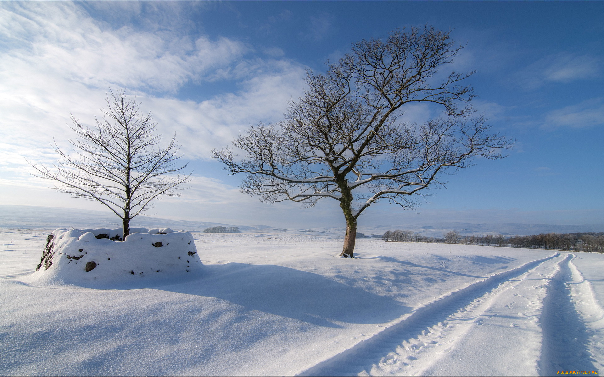 природа, зима, поле, деревья