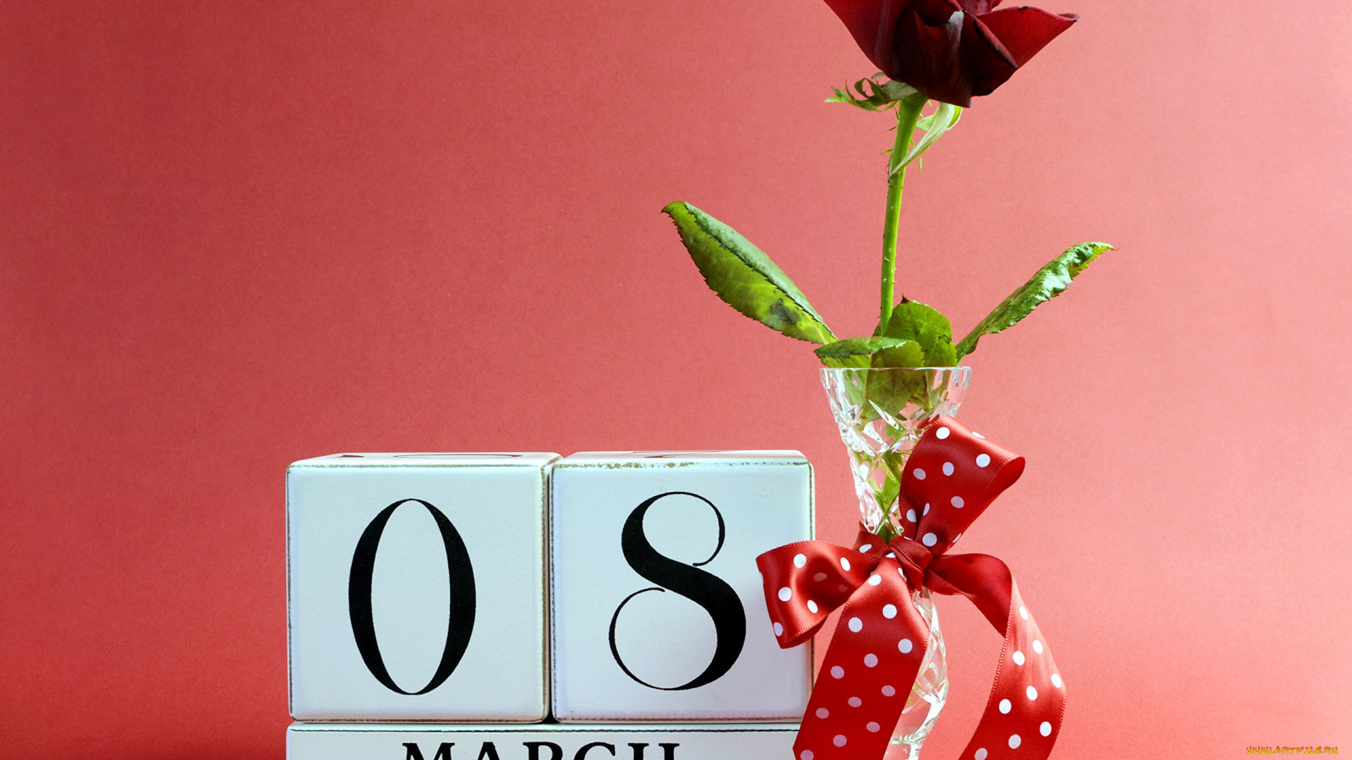 праздничные, международный, женский, день, -, 8, марта, роза, бант, надпись