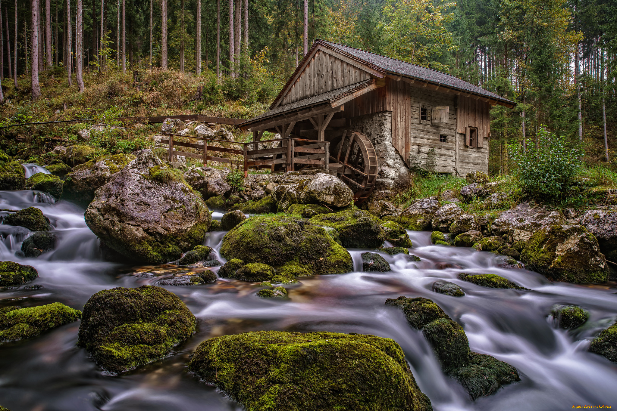 разное, мельницы, река, лес