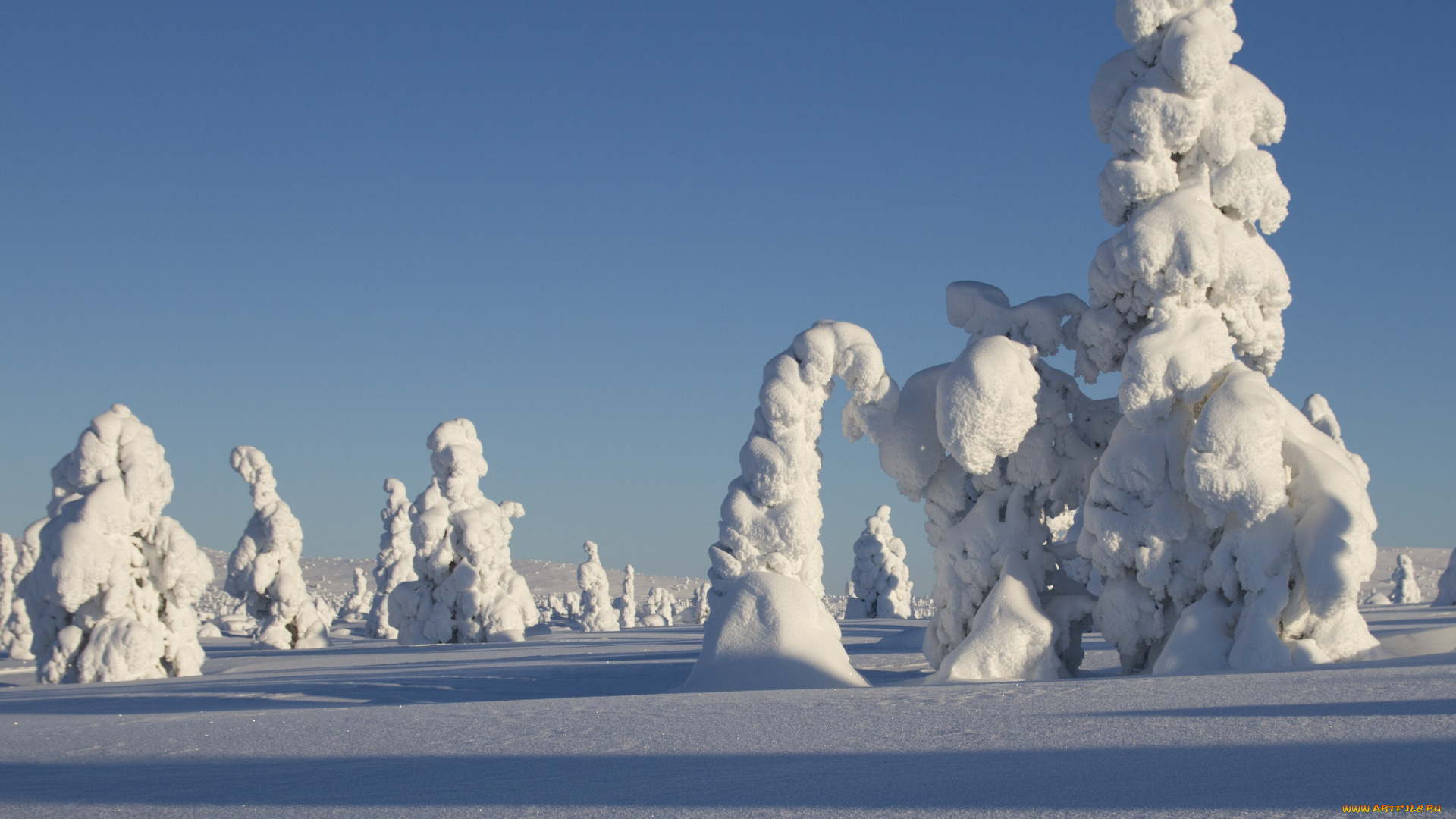 природа, зима, финляндия, лапландия, пейзаж, снег, деревья, ели, тени