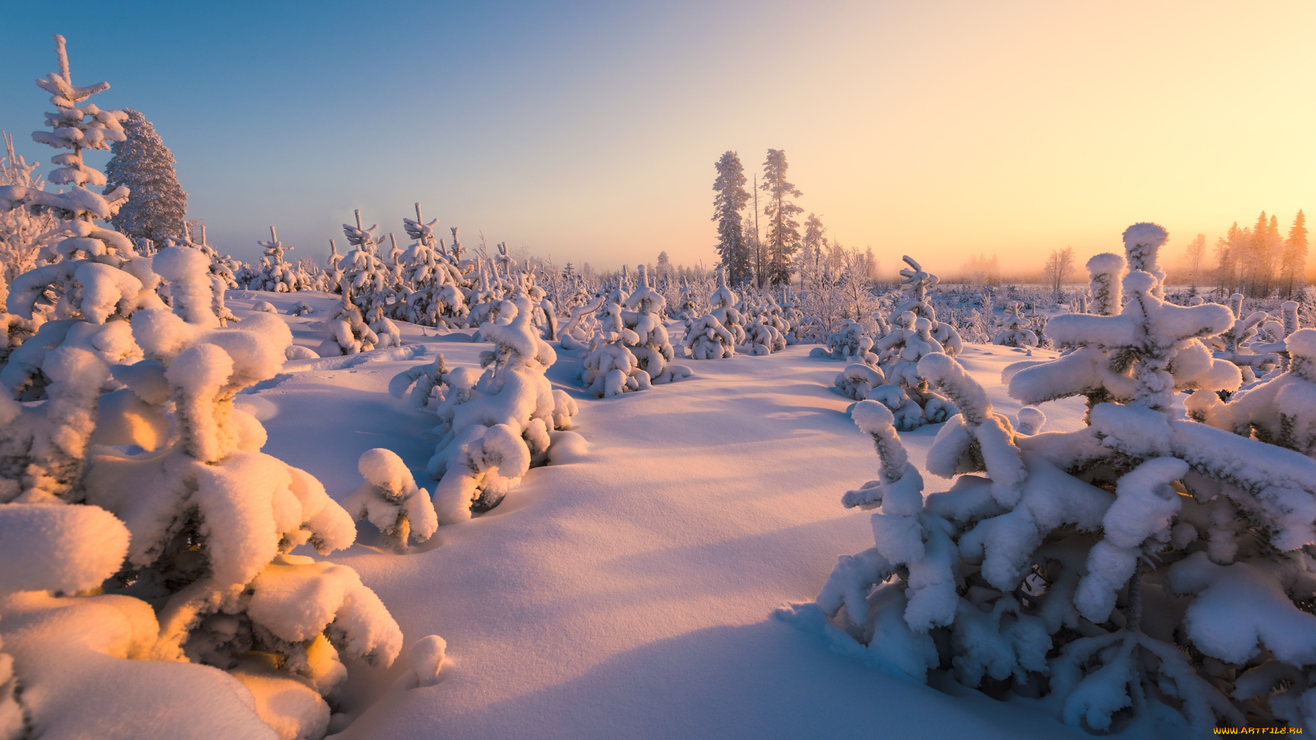 природа, зима, финляндия, снег, пейзаж, деревца, ёлочки