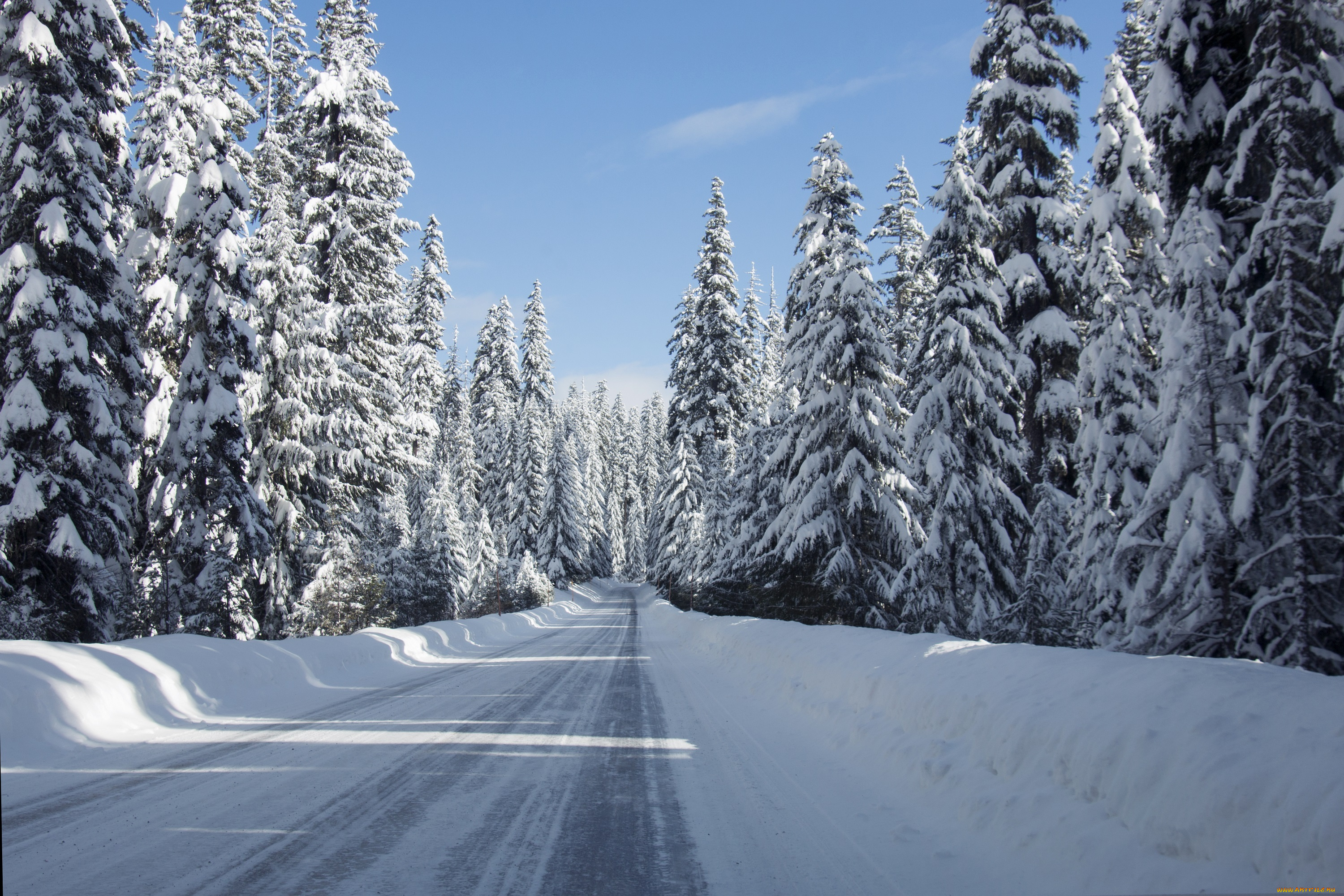 природа, дороги, дорога, снег, лес