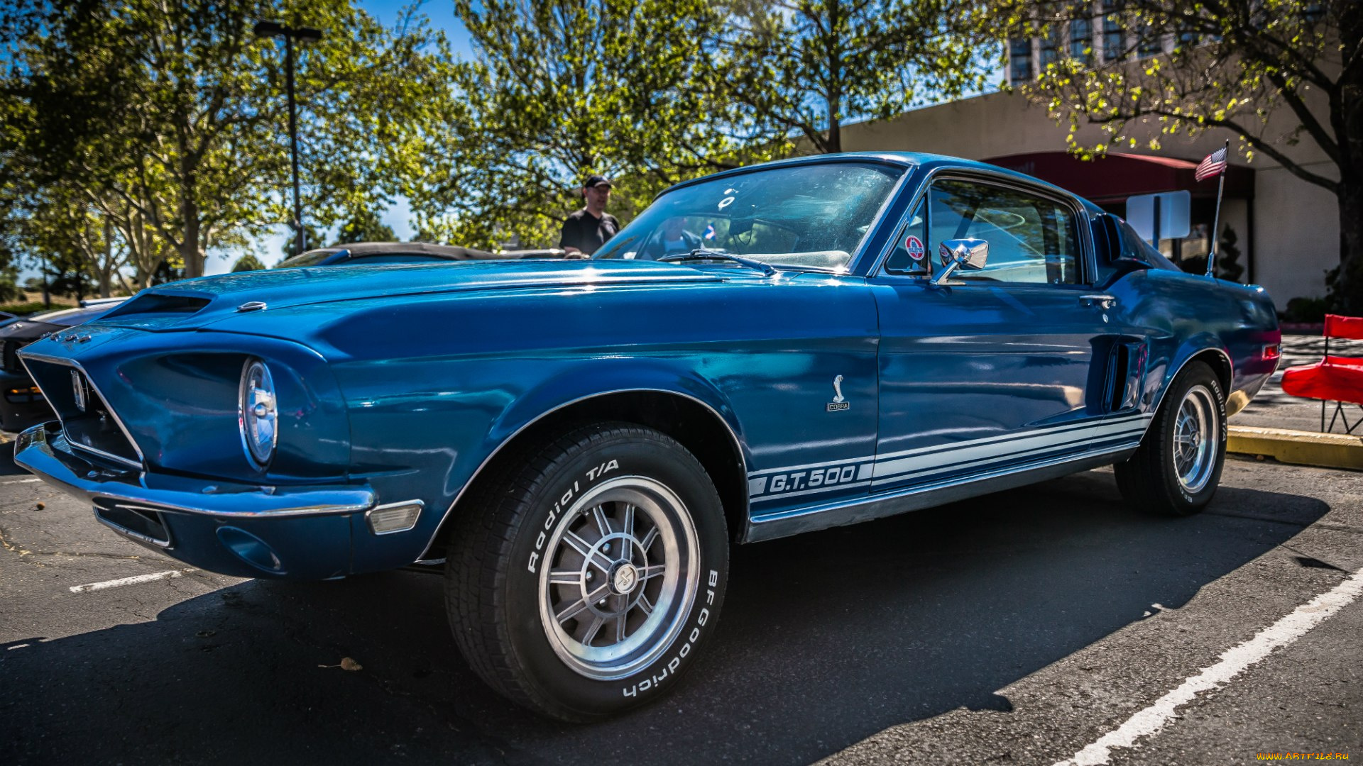 автомобили, mustang, ford, shelby, gt500