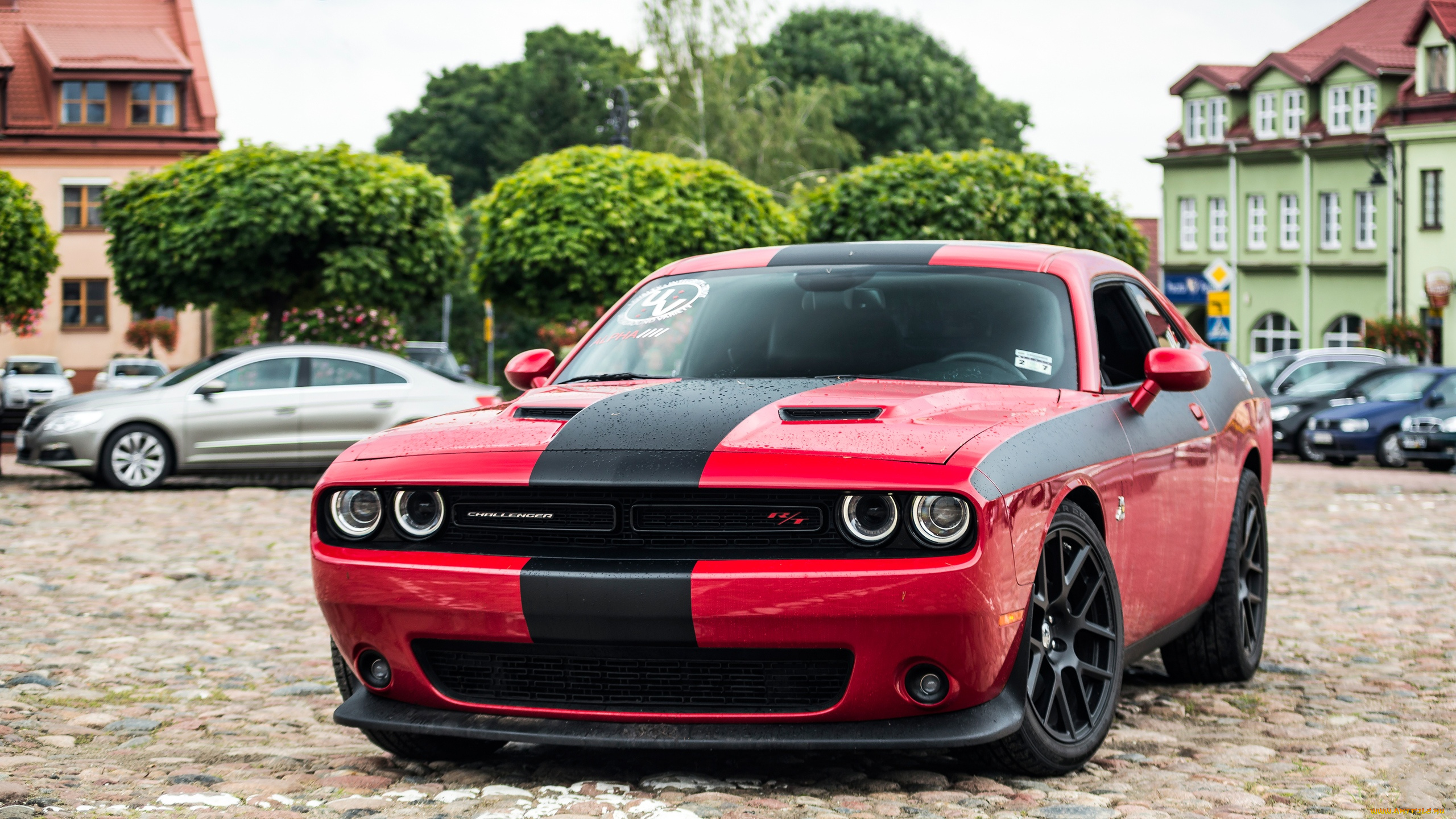 автомобили, выставки, и, уличные, фото, dodge, challenger