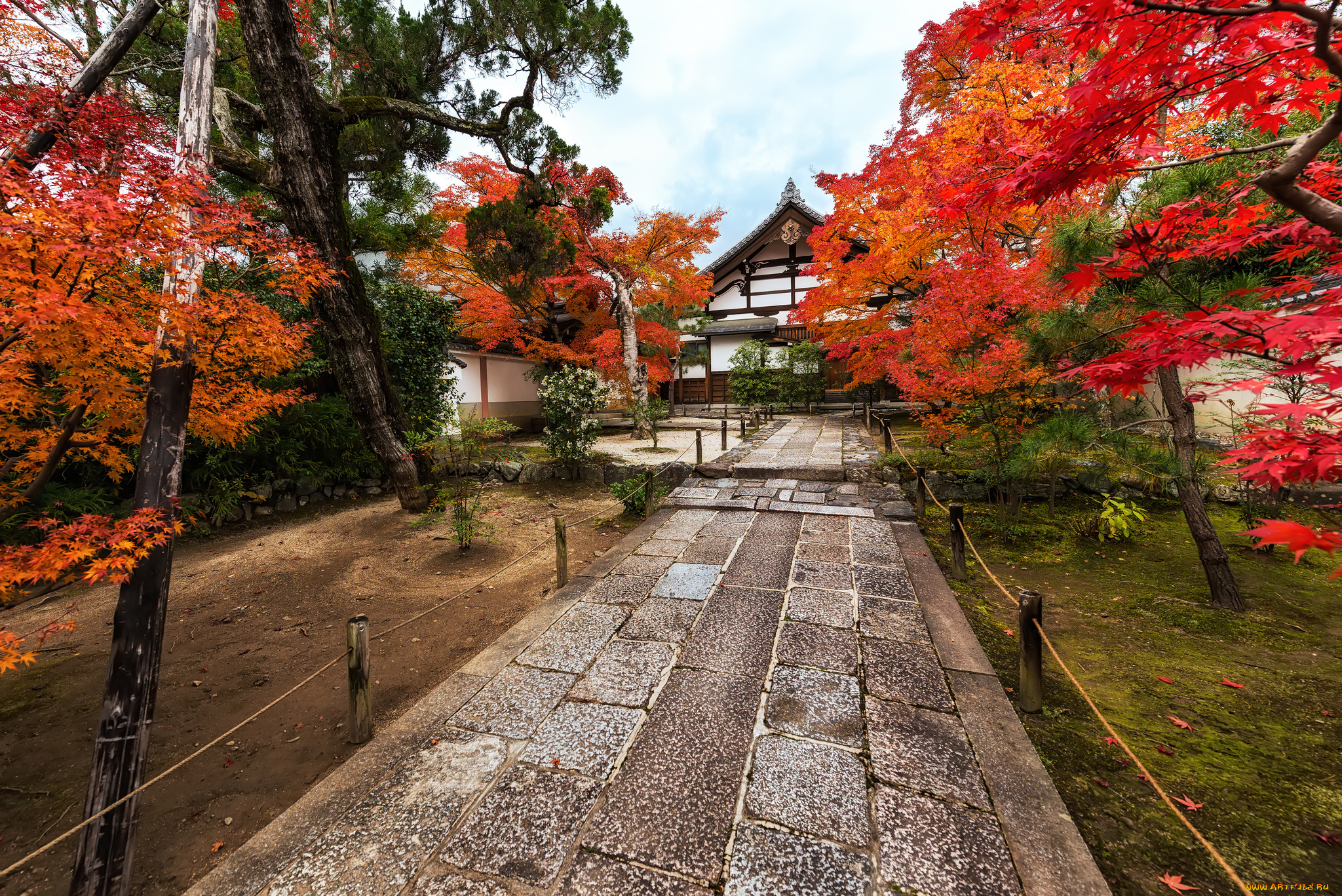 kyoto, koyo, города, -, пейзажи, осень, парк, краски, дорожка, дом