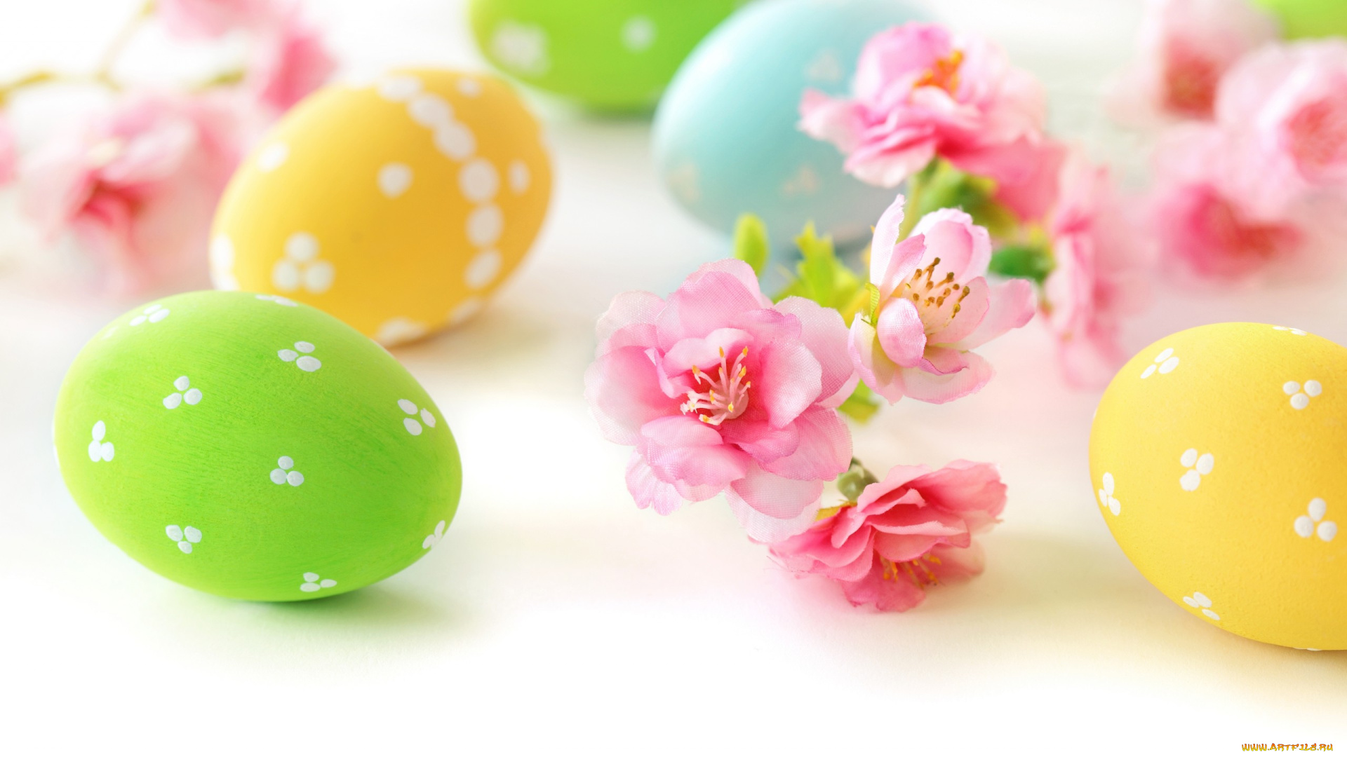 праздничные, пасха, цветы, яйца, delicate, eggs, flowers, easter