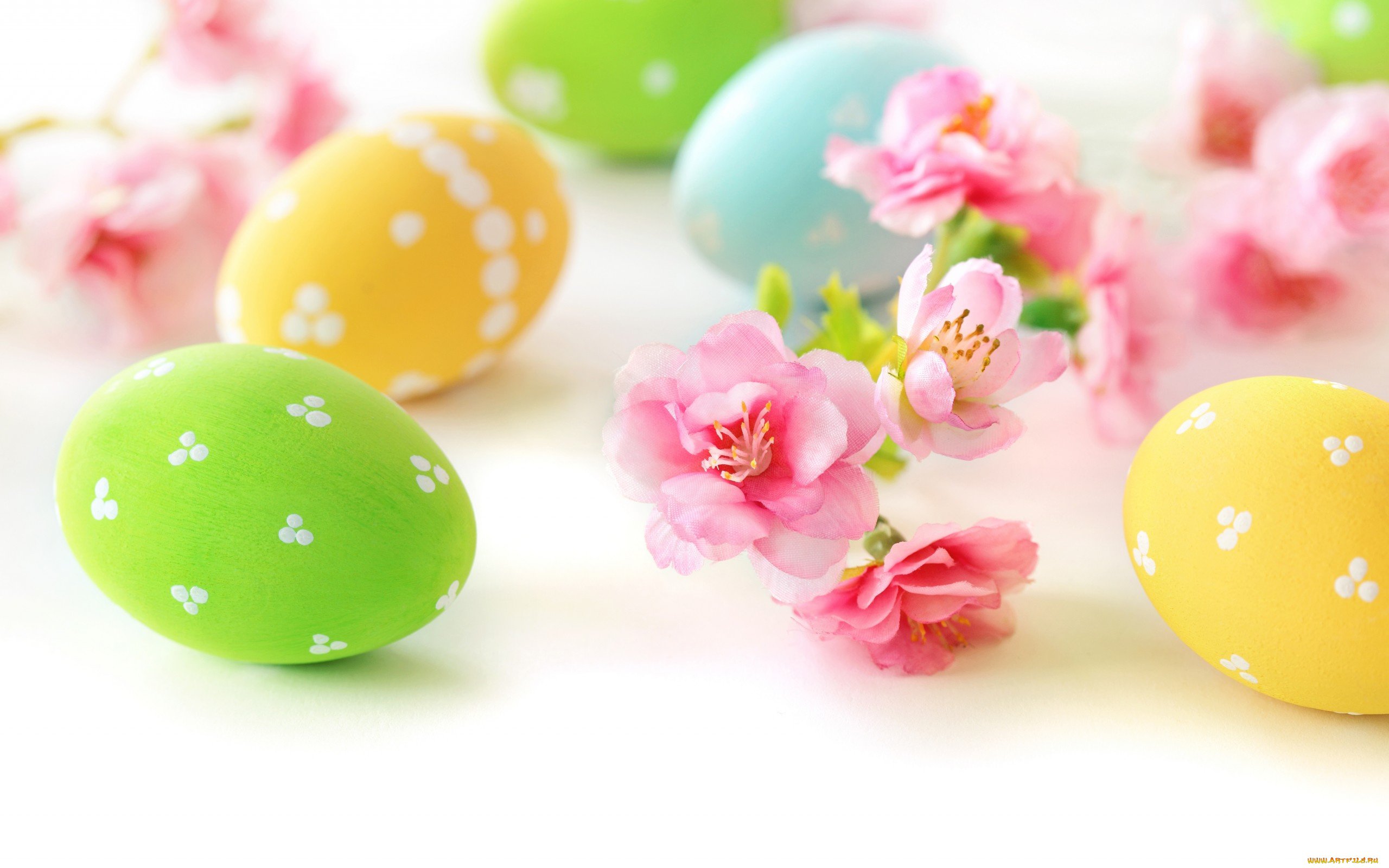 праздничные, пасха, цветы, яйца, delicate, eggs, flowers, easter