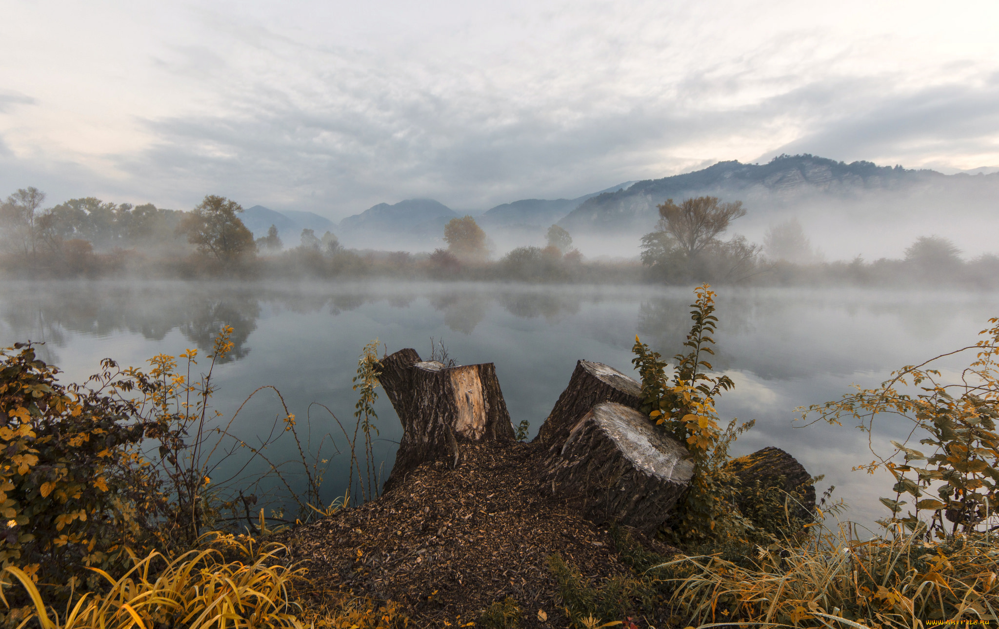 природа, реки, озера, туман, утро