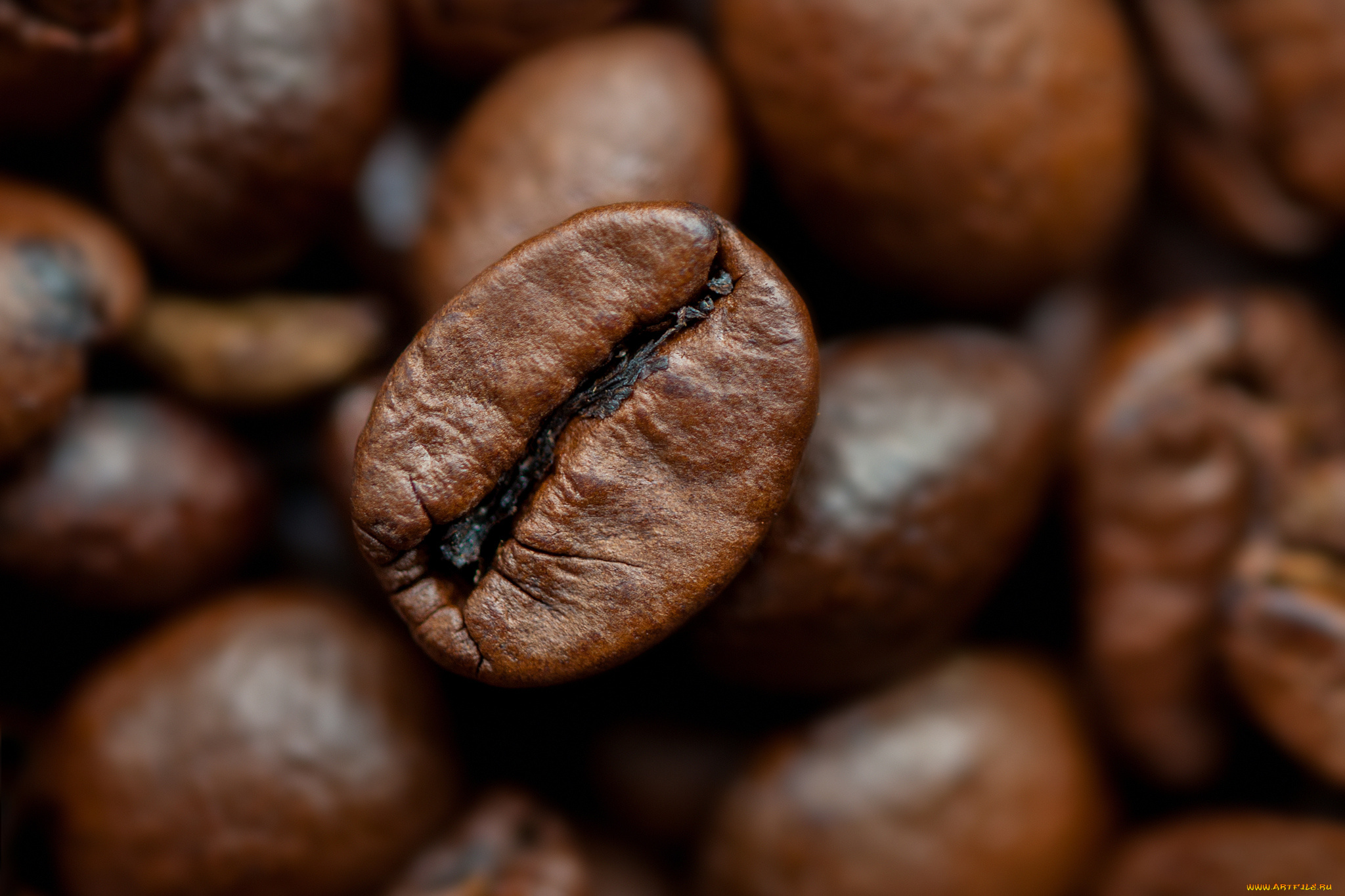 Кофе зерна без смс