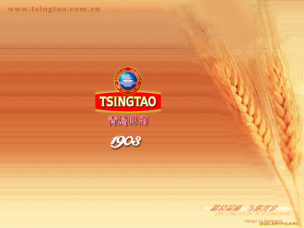 tsingtao, бренды