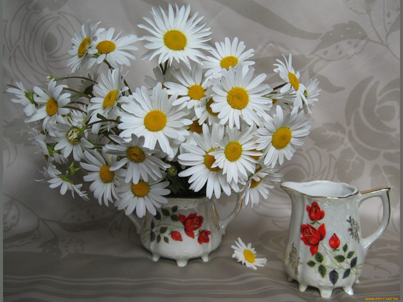 цветы, ромашки, ваза, молочник
